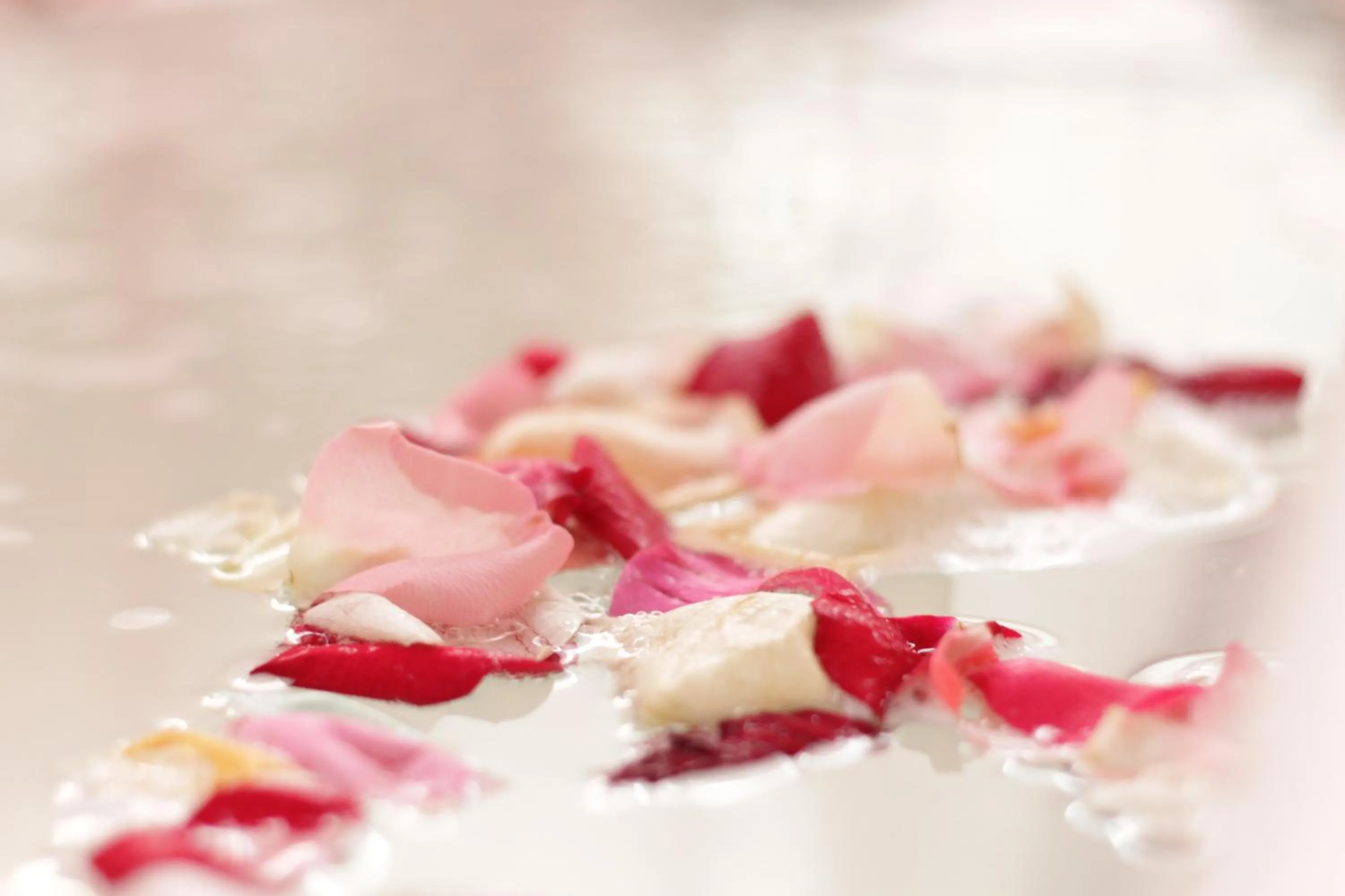 Other in Paradise Spa Hotel