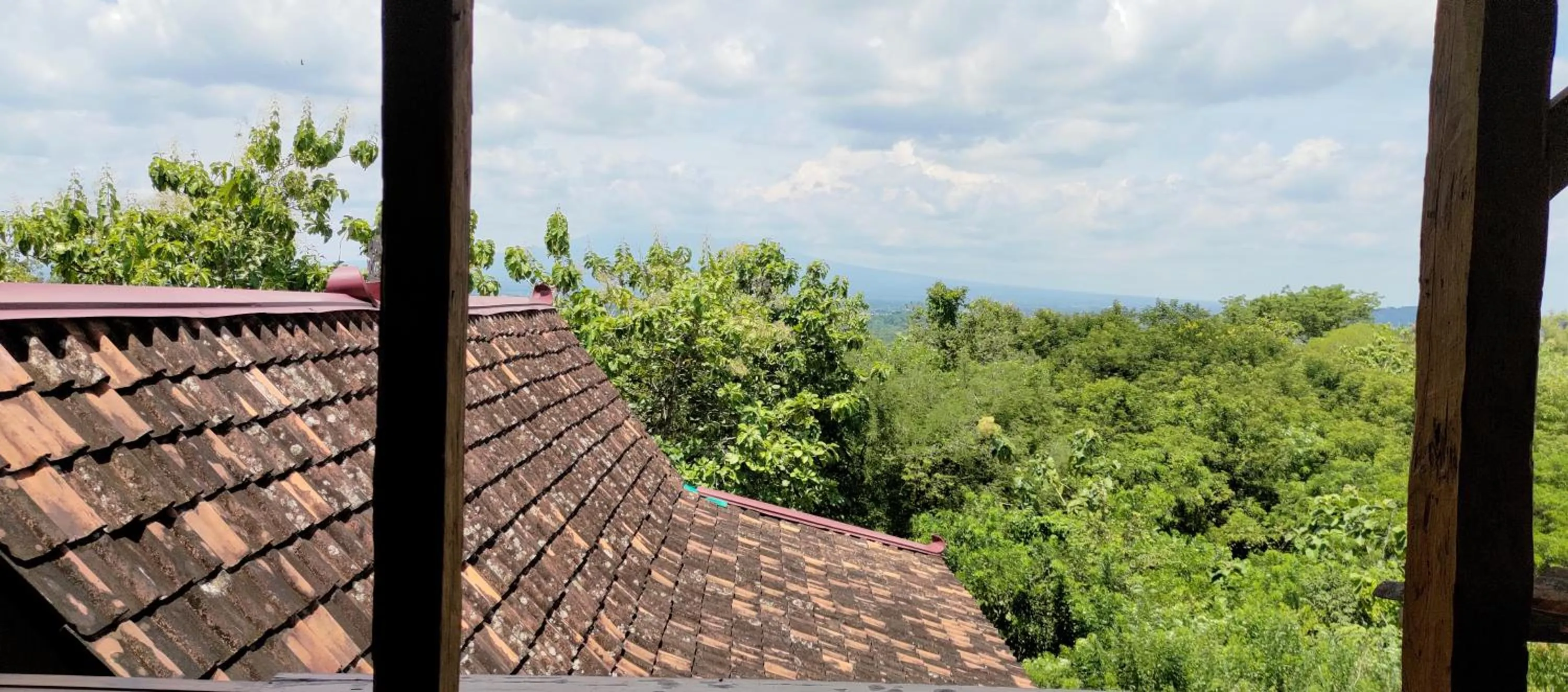 Mountain view in Omah Singo Stay & Resto Yogyakarta