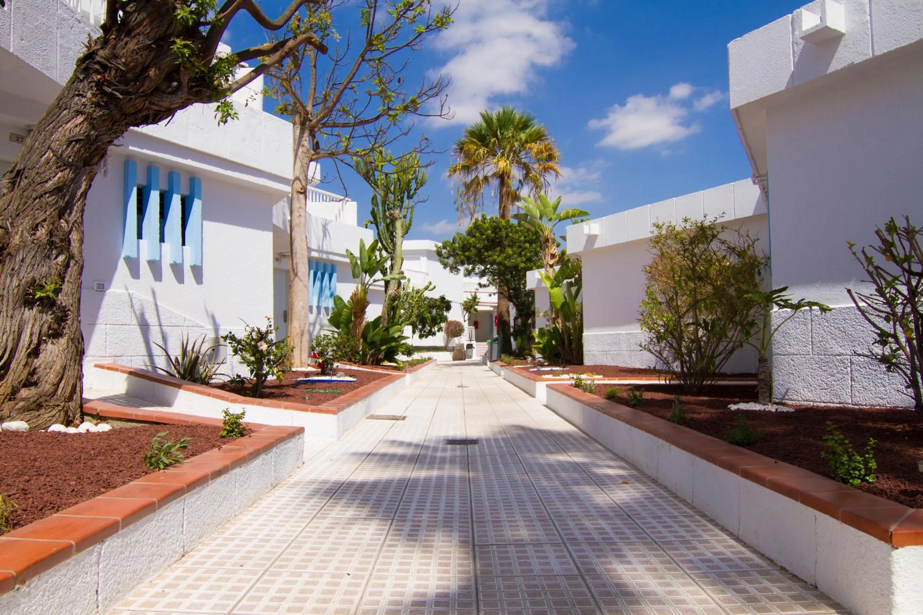Property building in Checkin Bungalows Atlántida