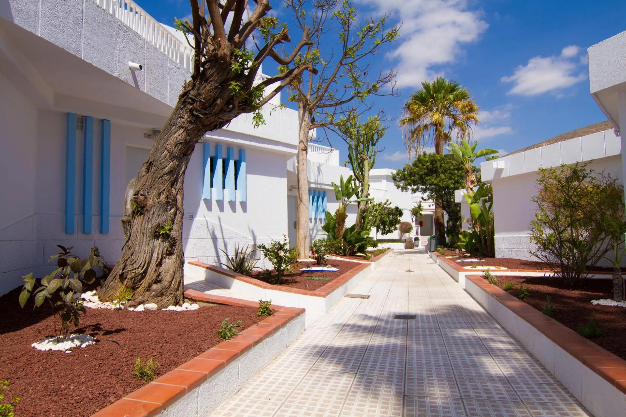 Property building in Checkin Bungalows Atlántida