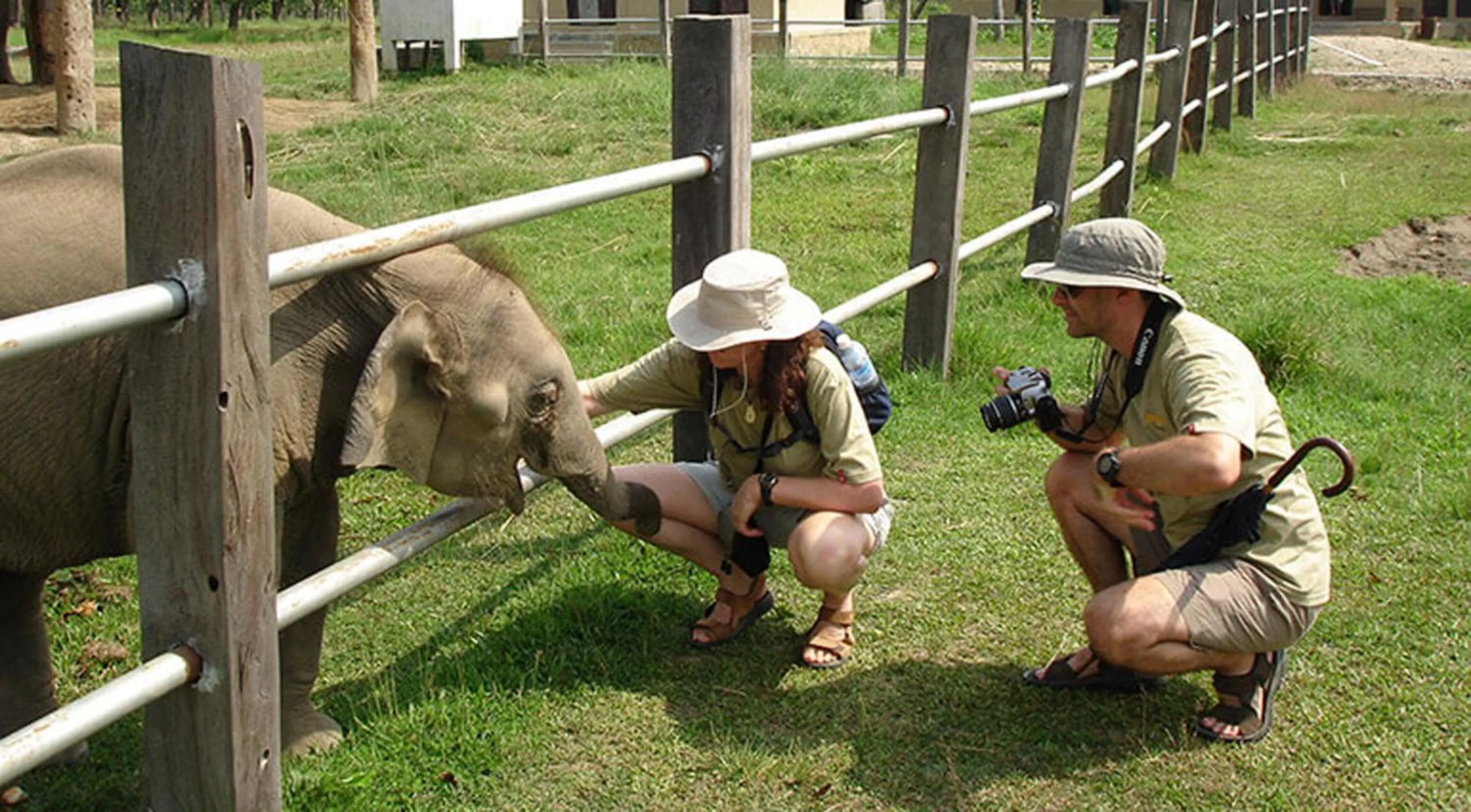 Activities in Landmark Forest Park