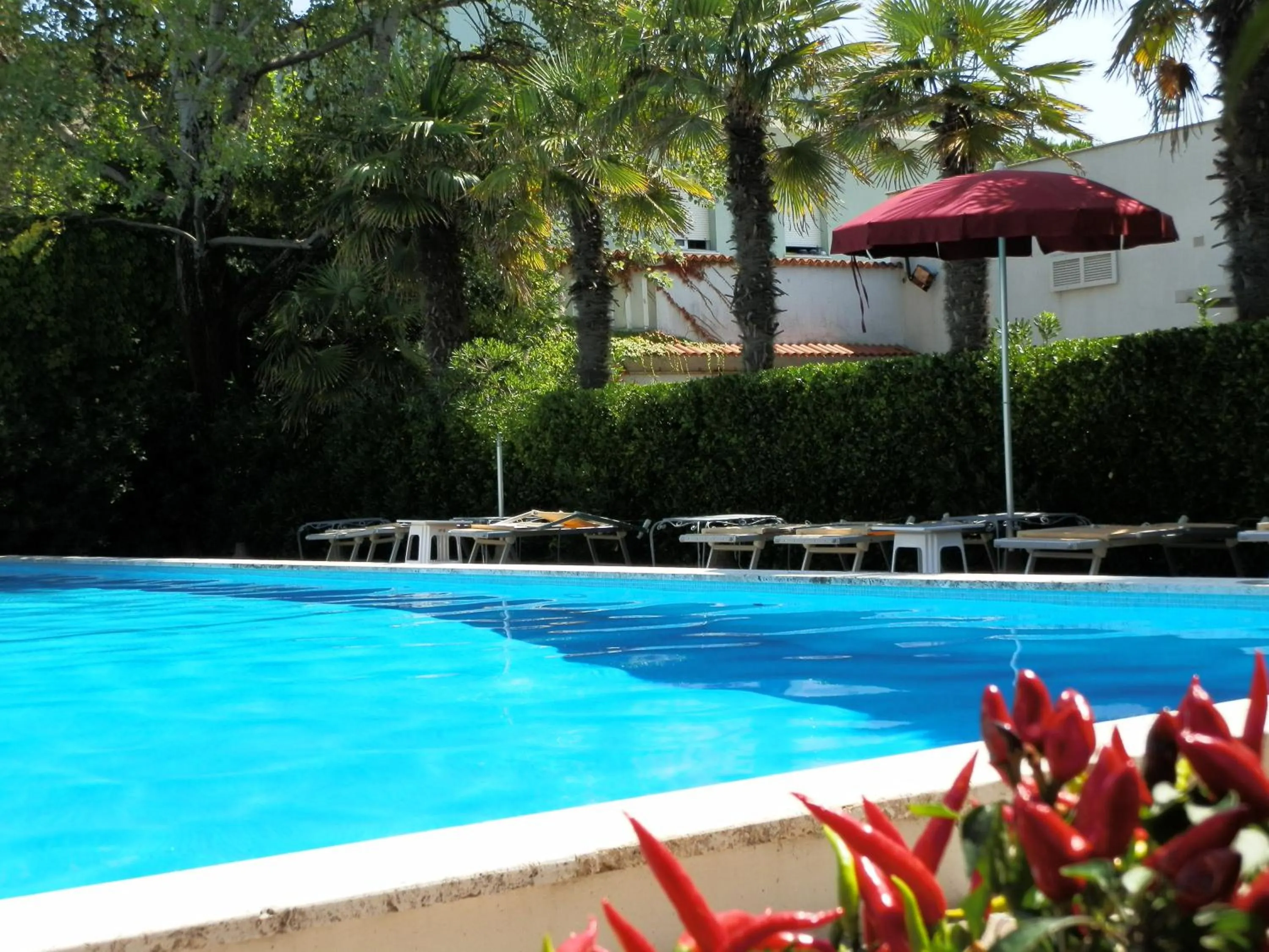 Swimming pool in Hotel Nautic B&B