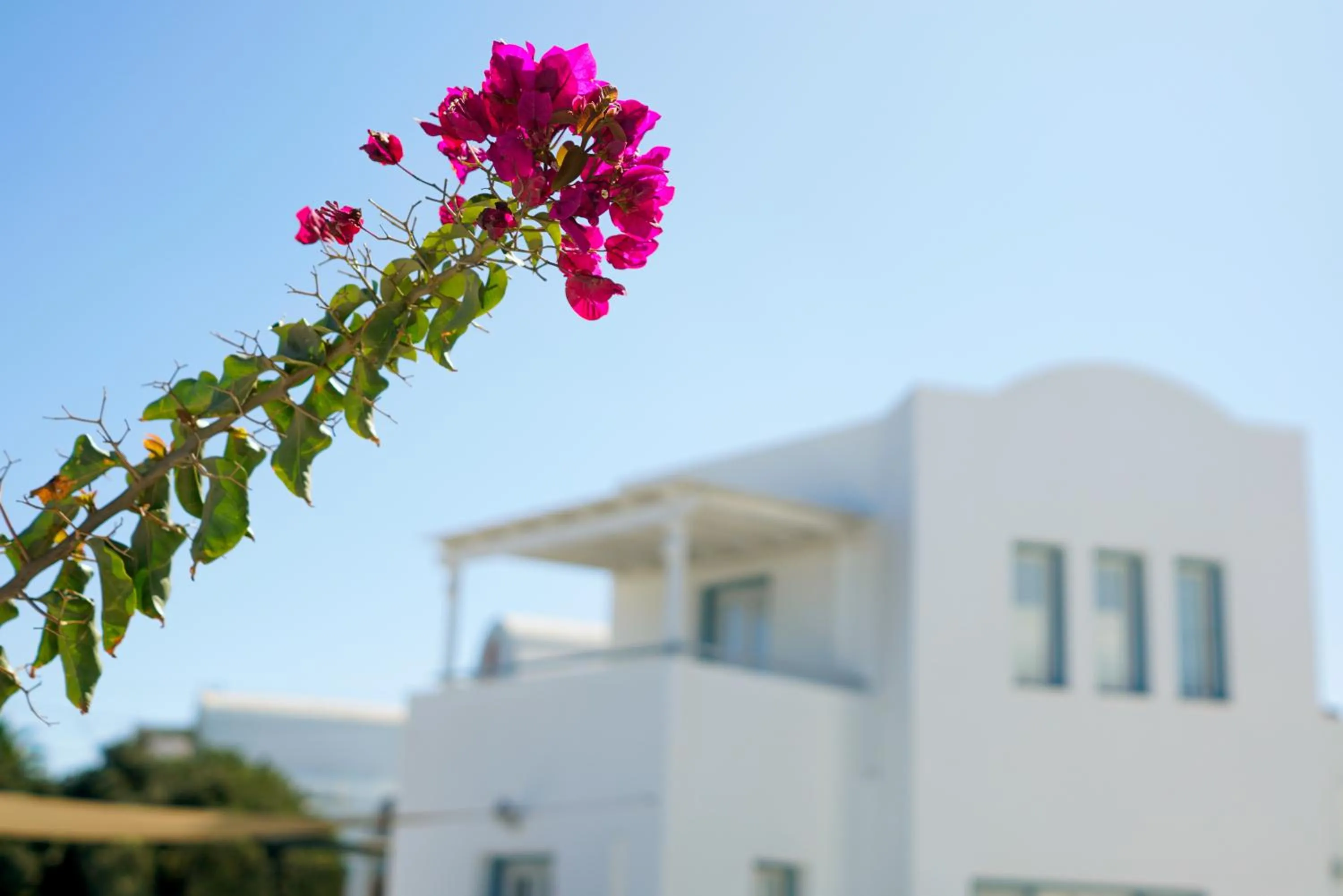 Property building in Athiri Santorini Hotel