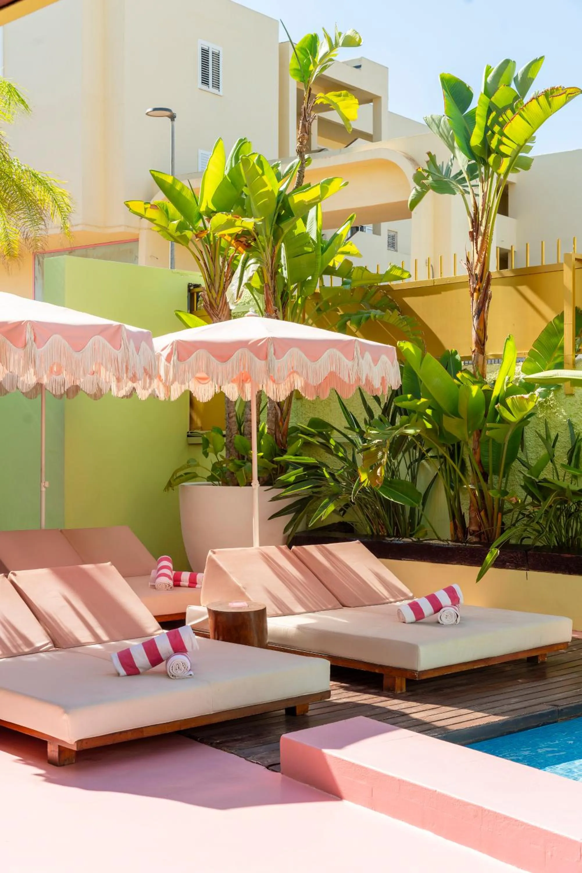 Area and facilities in Tropicana Ibiza Suites - Adults Only