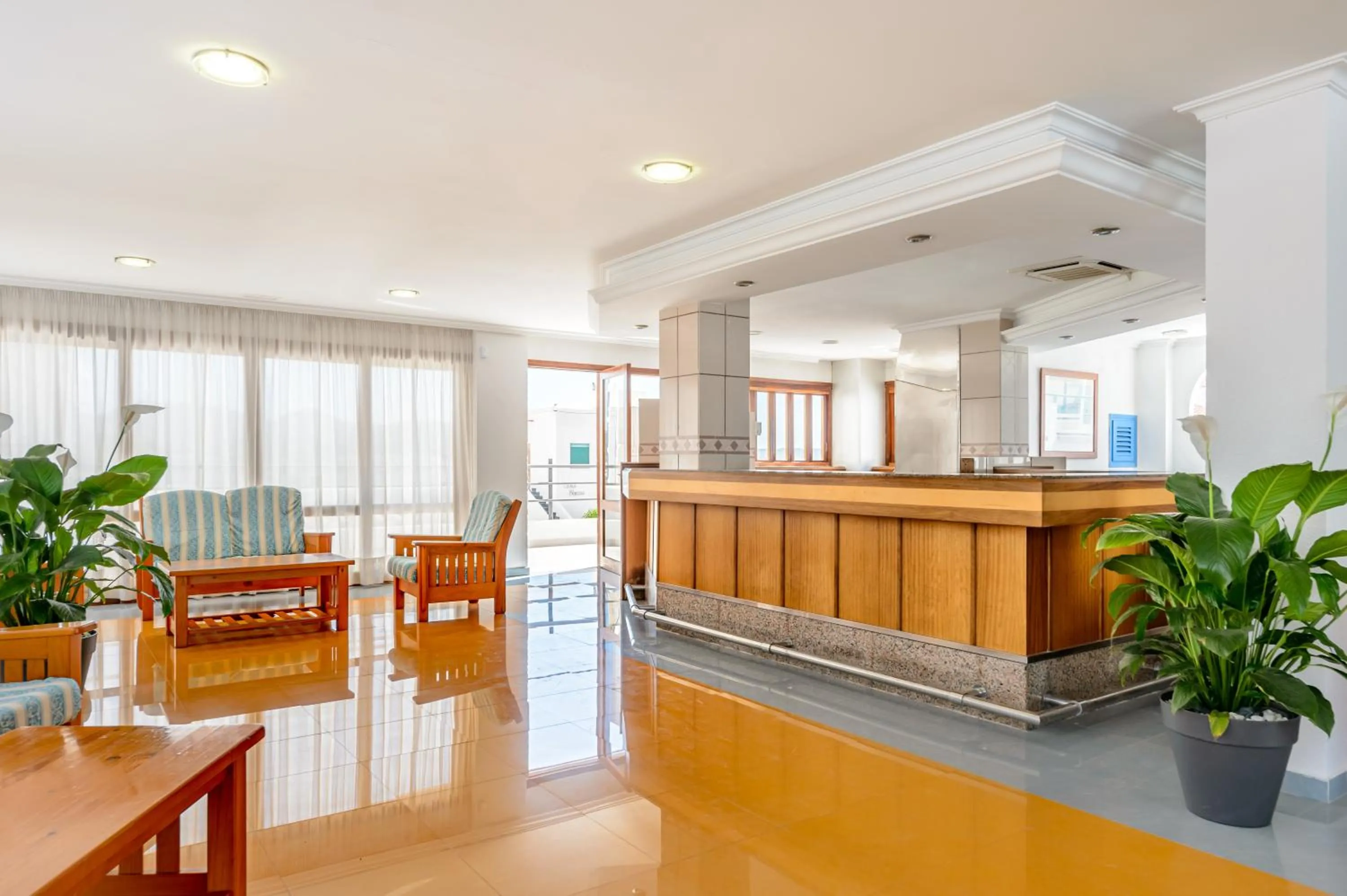 Area and facilities in Aparthotel Vibra Sanan - Adults only