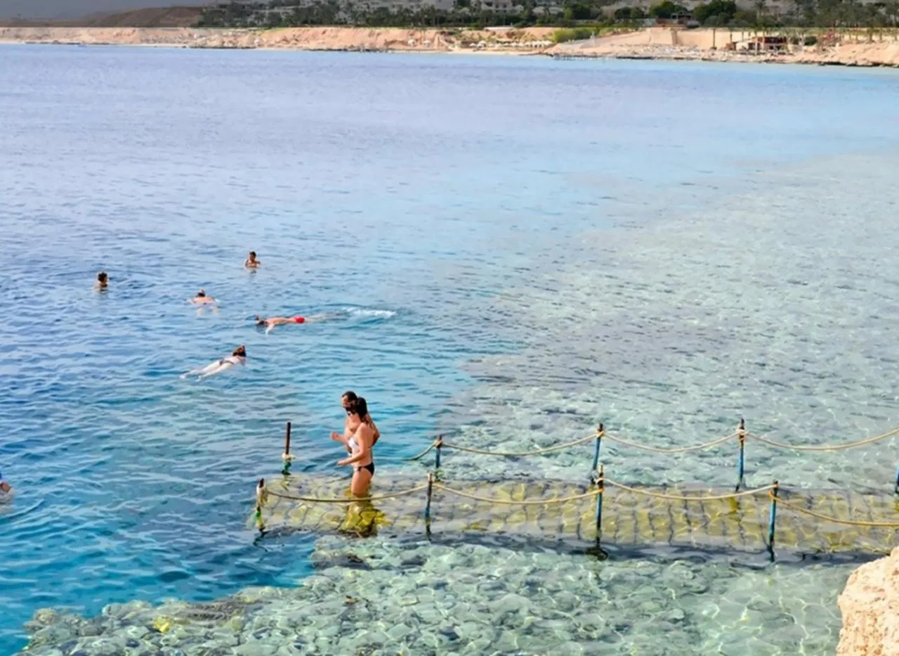 Activities in Sharm Resort