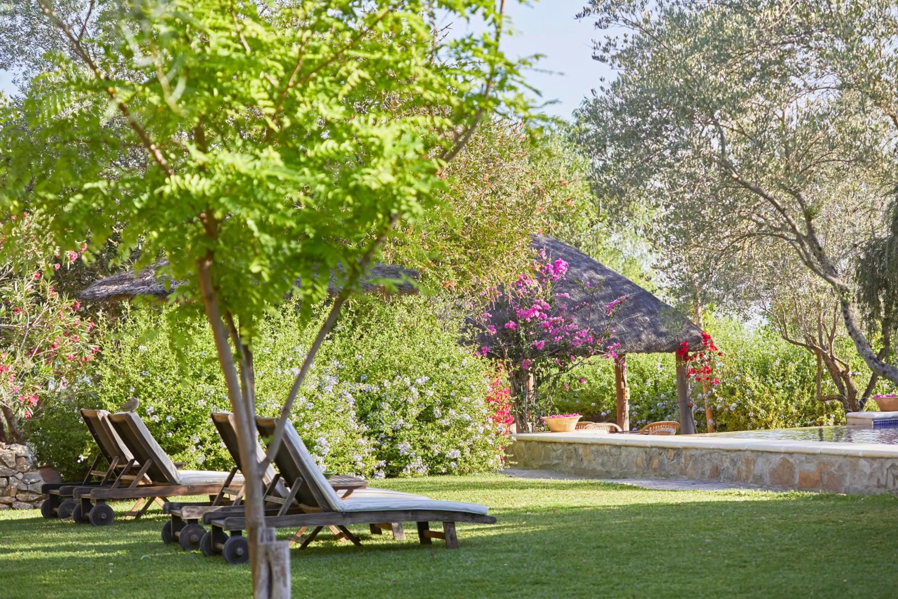 Garden in Hacienda de San Rafael