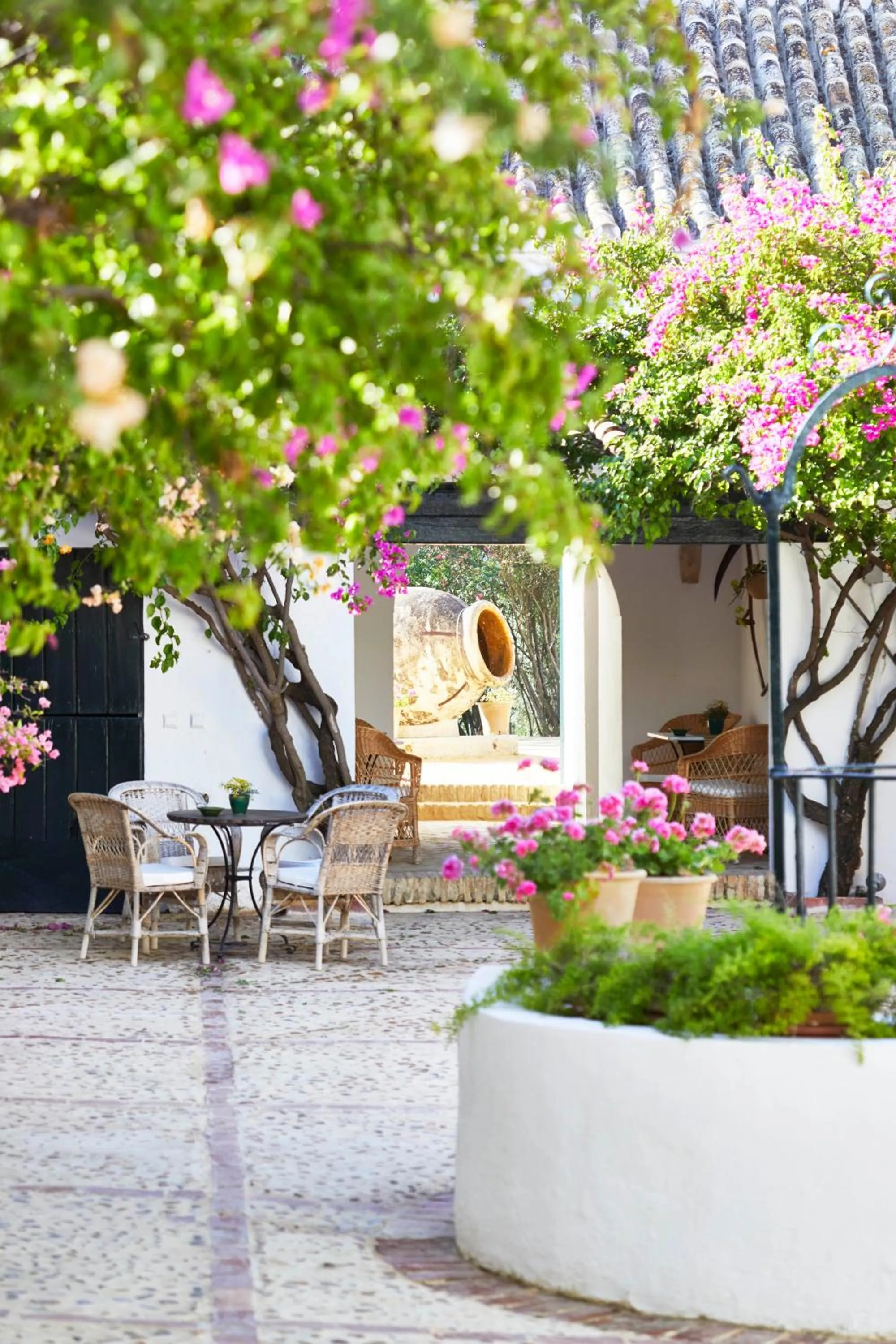 Patio in Hacienda de San Rafael