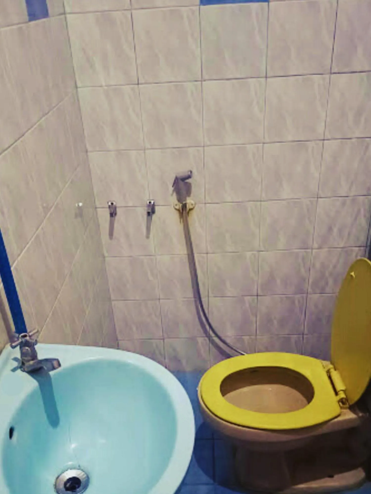 Toilet in Sagada Guesthouse