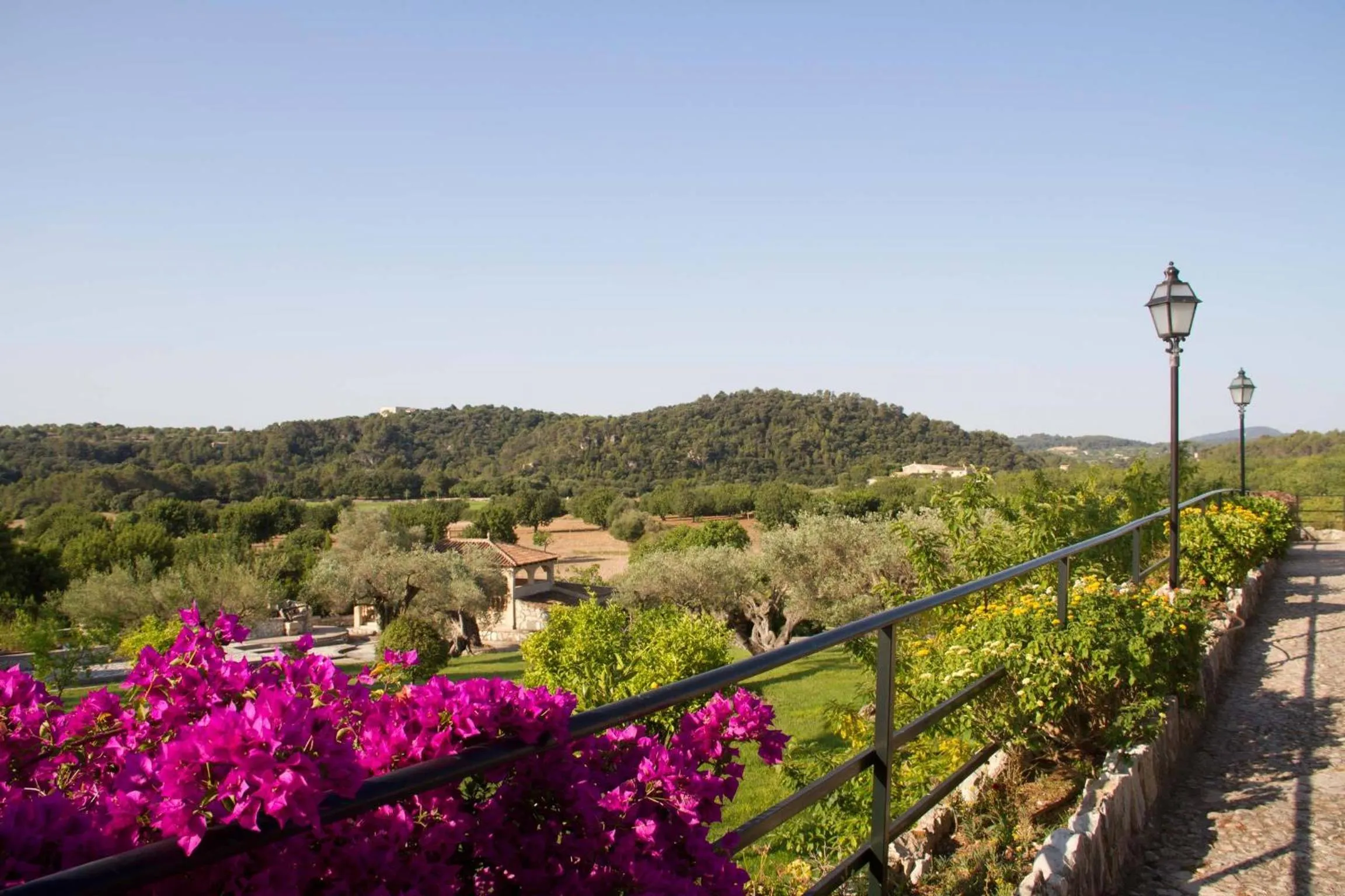 View (from property/room) in Monnaber Nou Finca Hotel & Spa