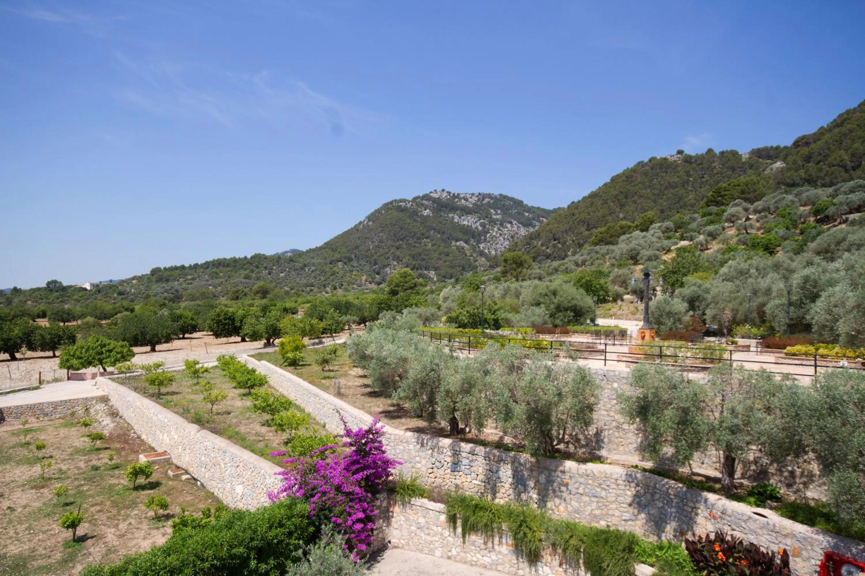 Garden in Monnaber Nou Finca Hotel & Spa