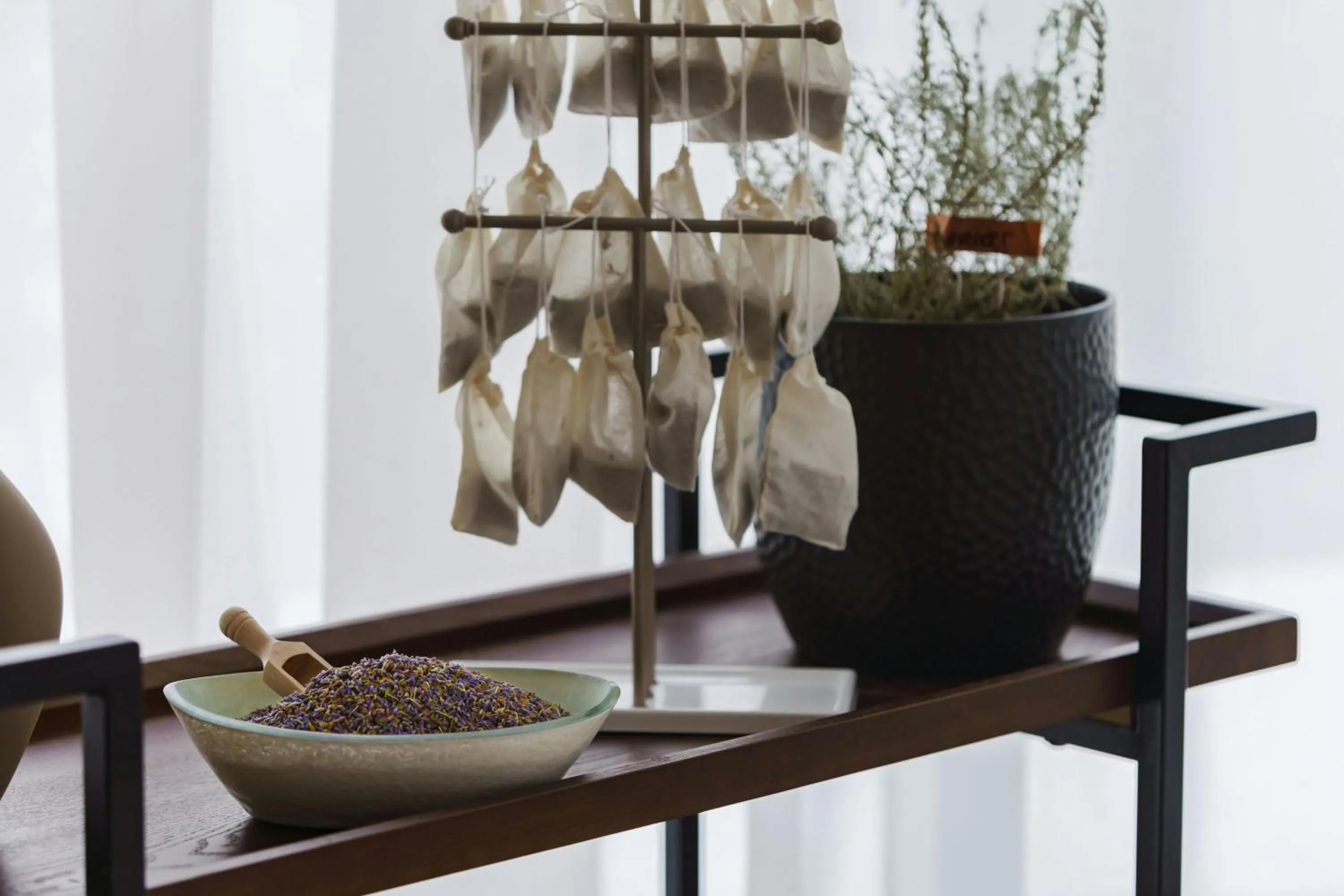 Restaurant/places to eat in AC Hotel St Petersburg Downtown