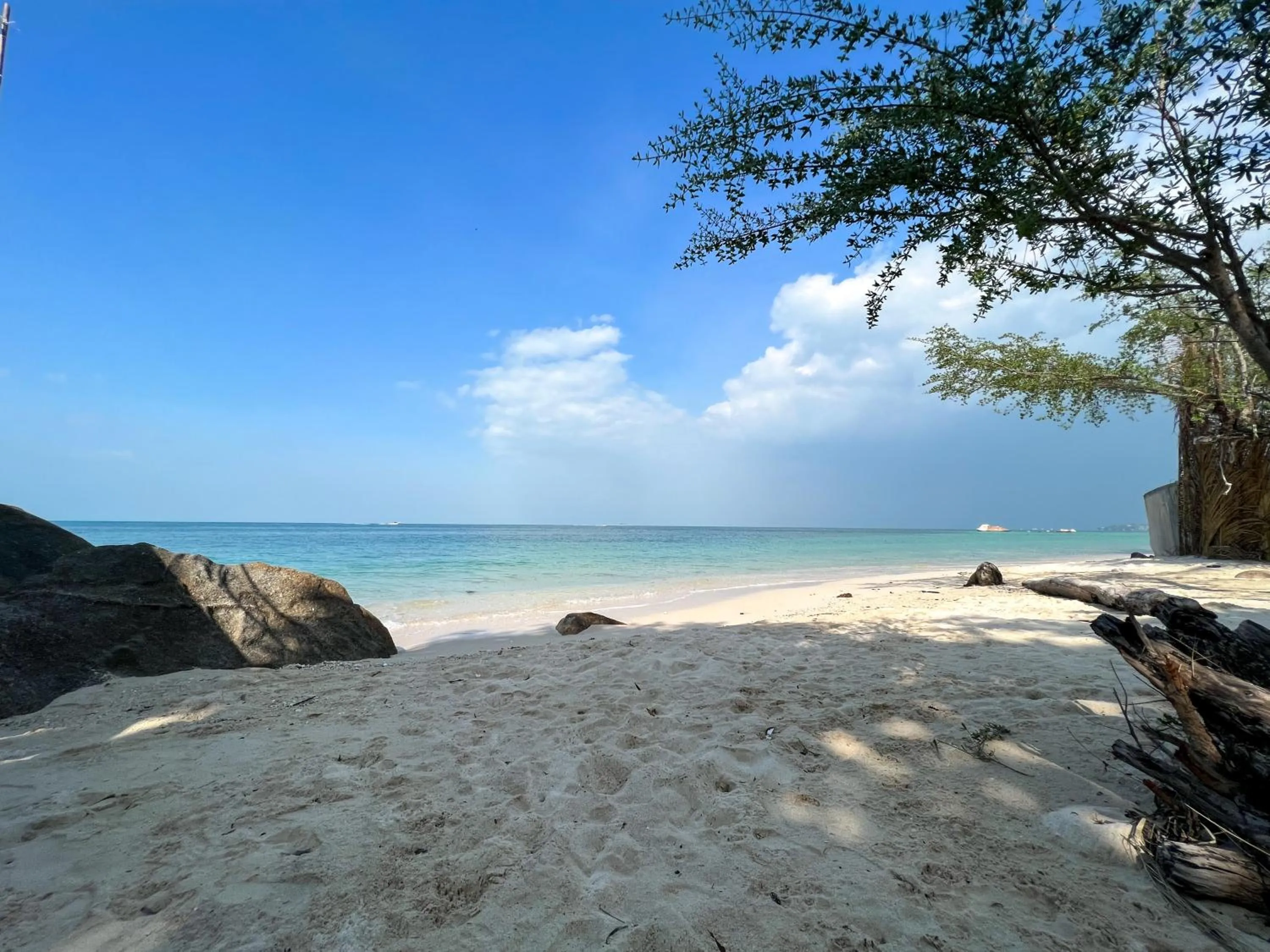 Siam Cookies Cottage