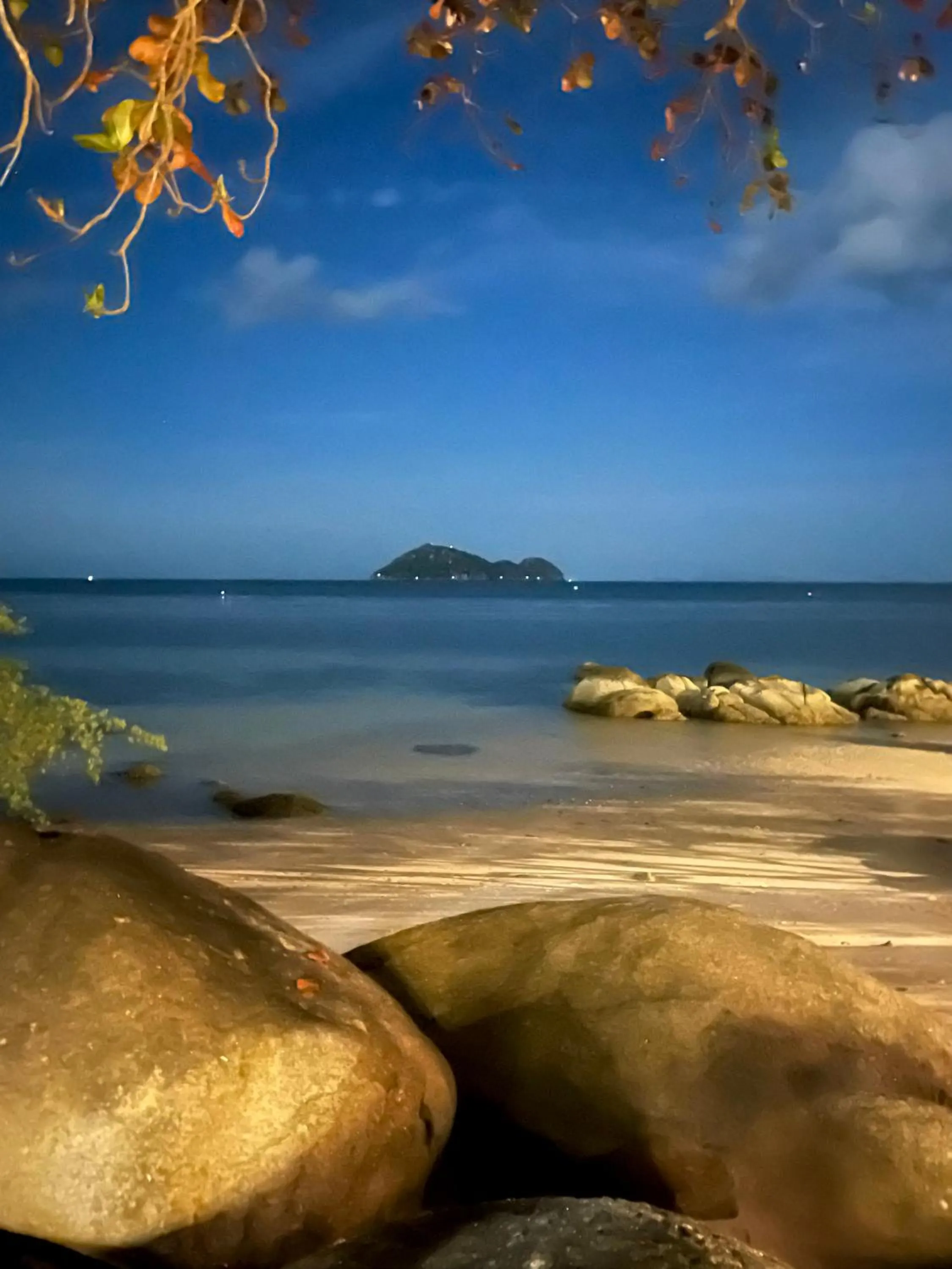 Siam Cookies Cottage