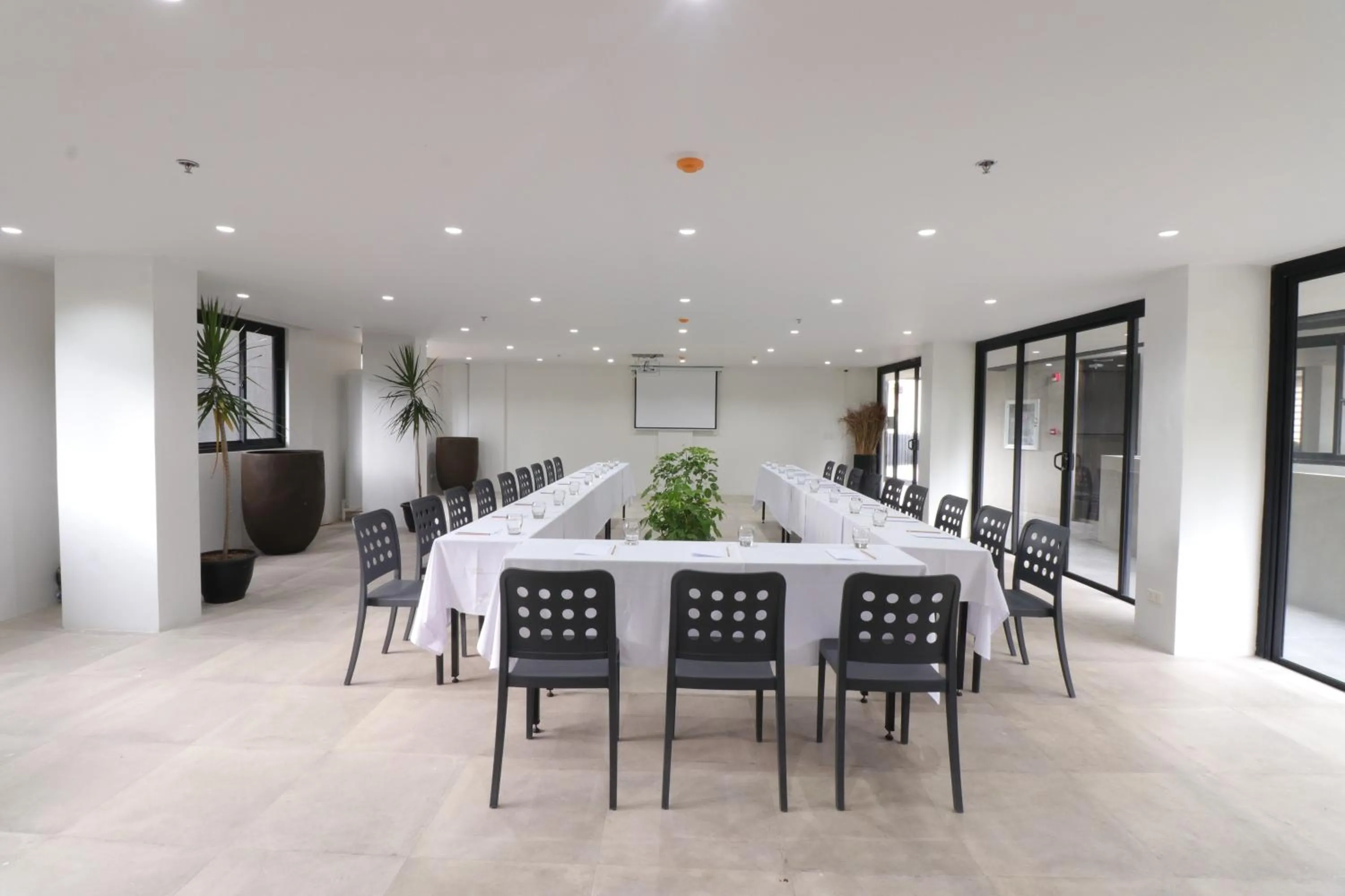 The Funny Lion - El Nido