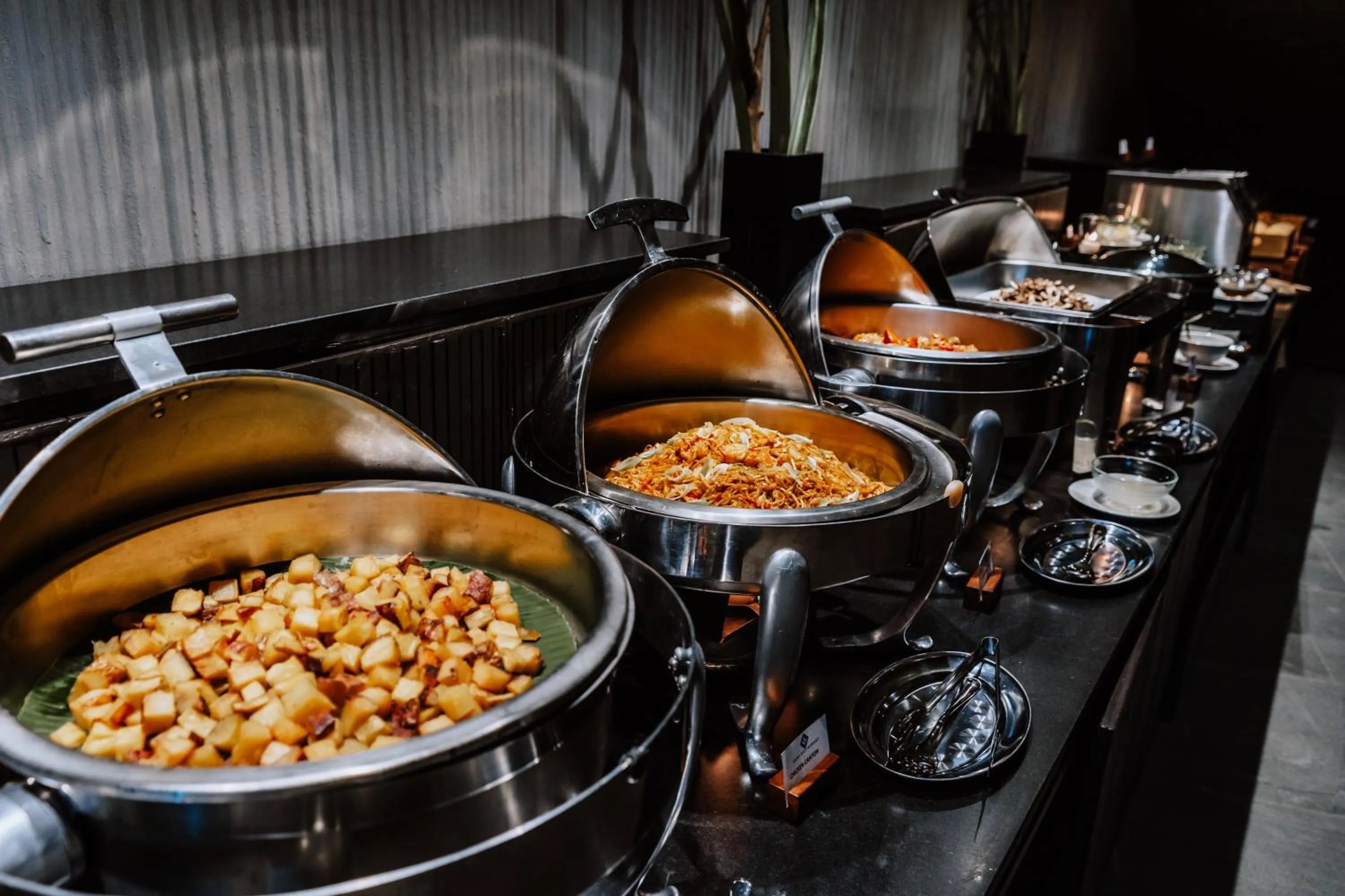 The Funny Lion - El Nido