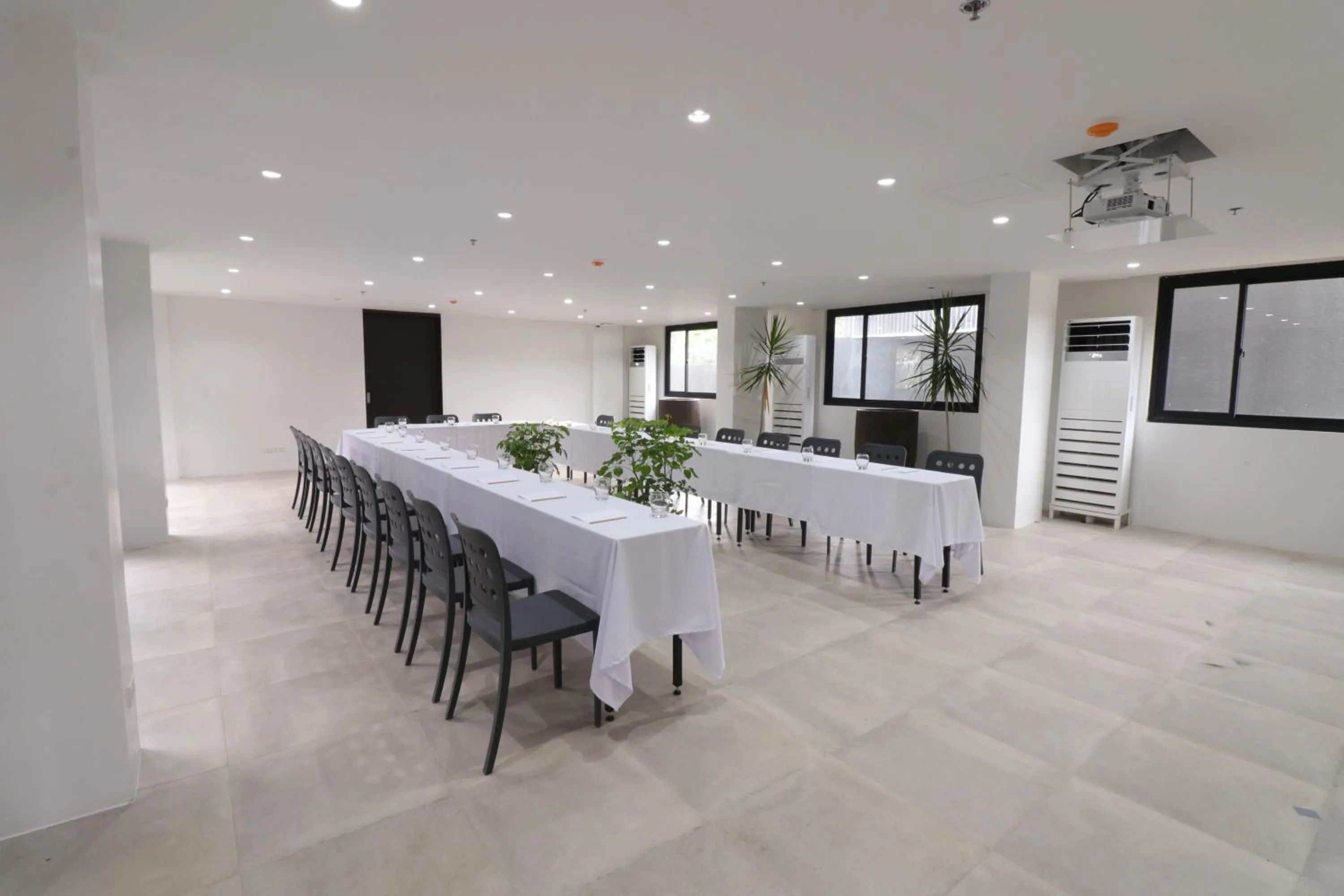 The Funny Lion - El Nido