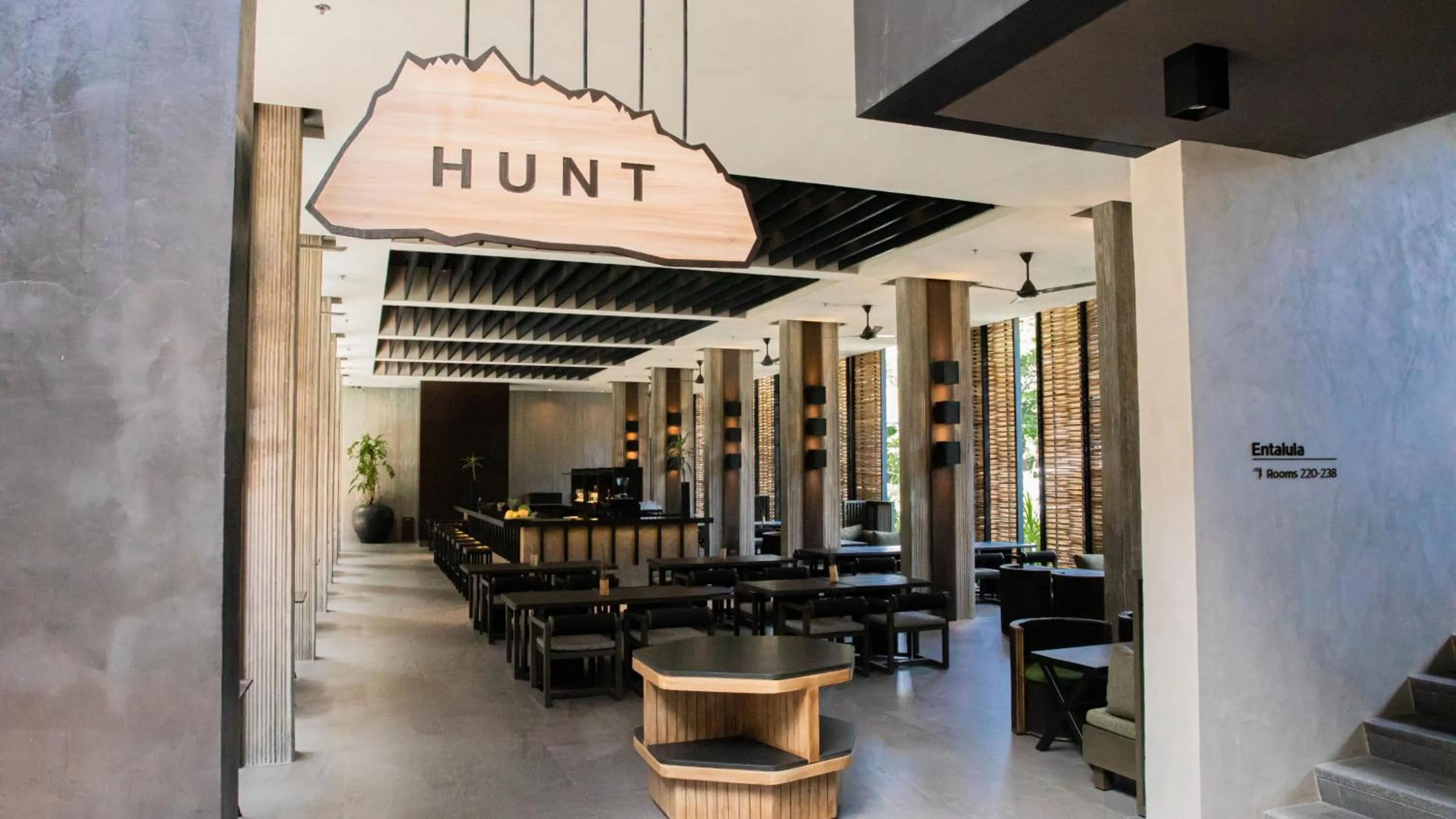 The Funny Lion - El Nido