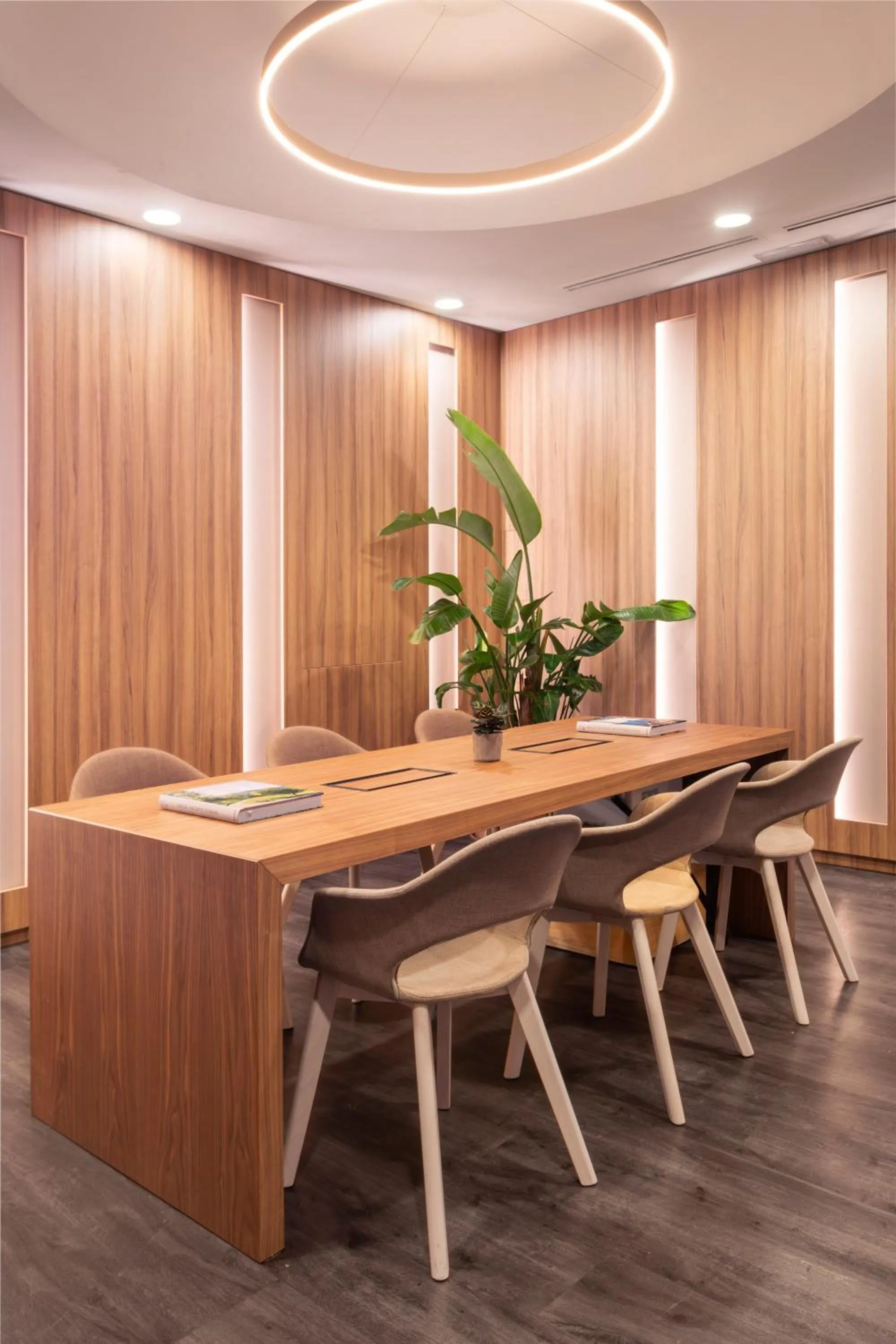 Business facilities in Melia Barajas