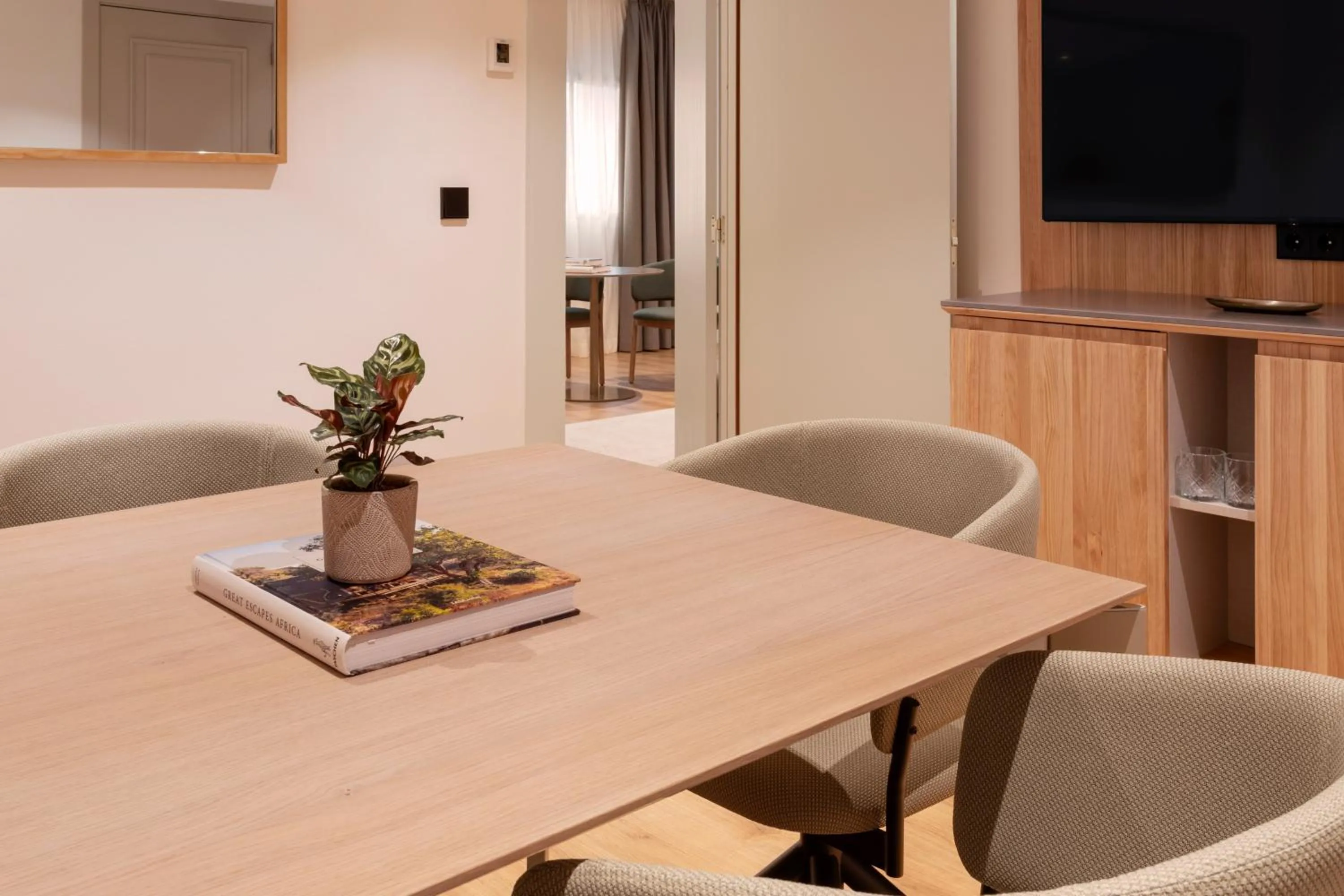 TV and multimedia in Melia Barajas