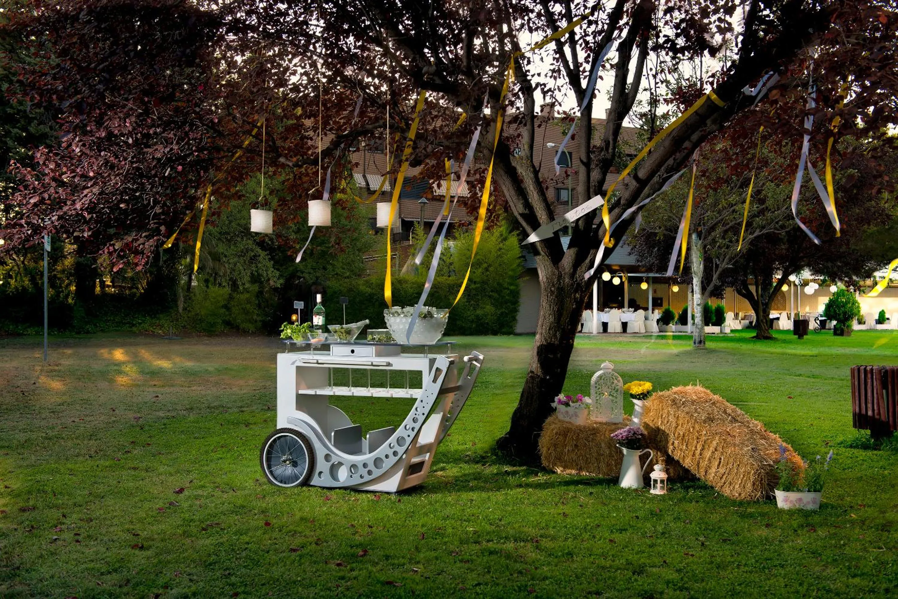 Garden in Melia Barajas