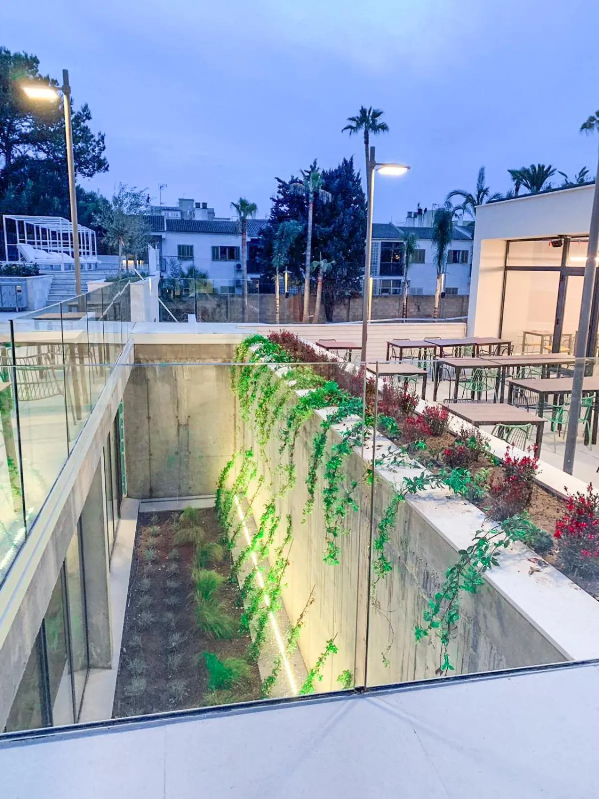 Balcony/Terrace in Hotel Paradiso Garden