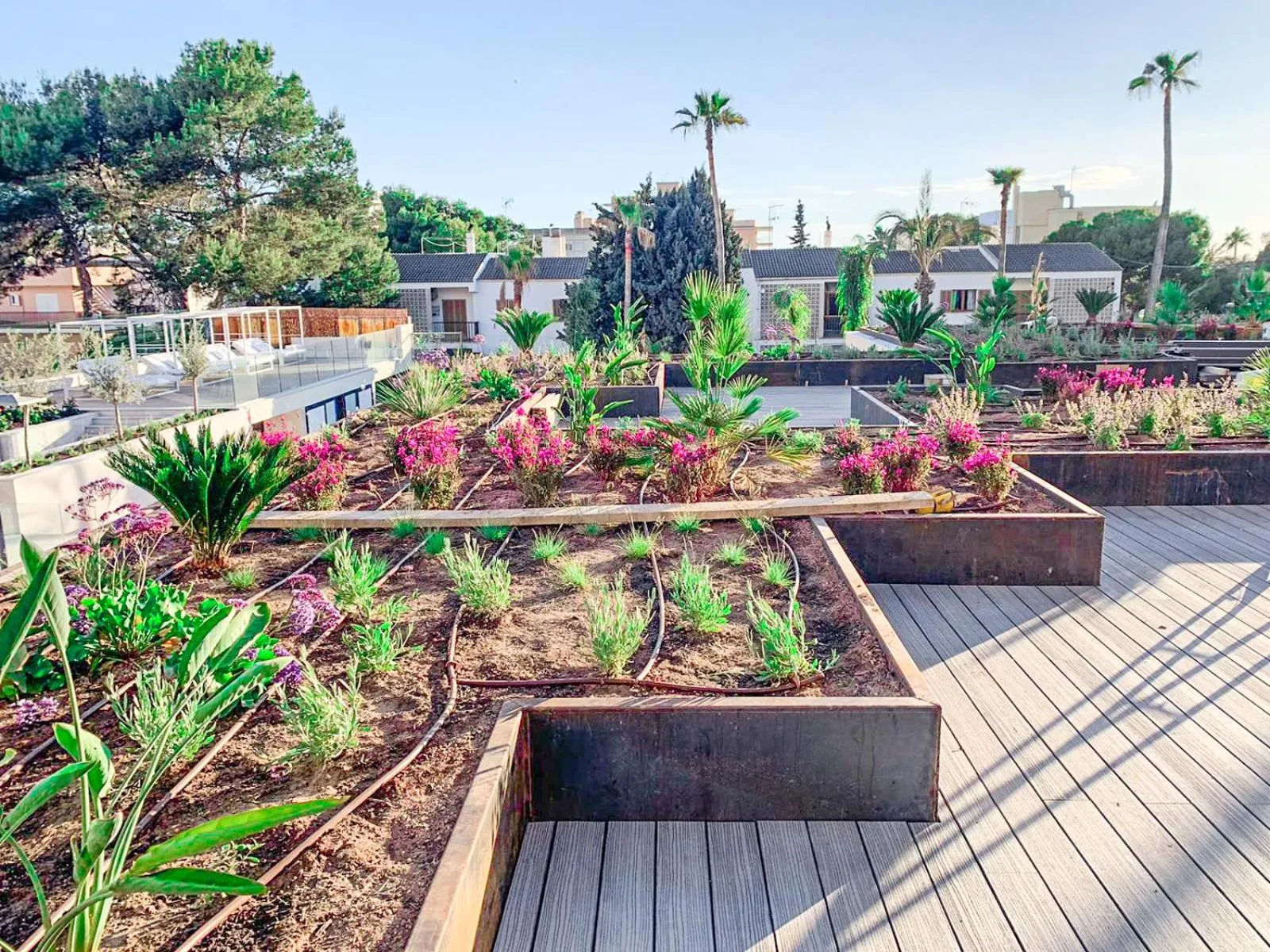 Garden in Hotel Paradiso Garden