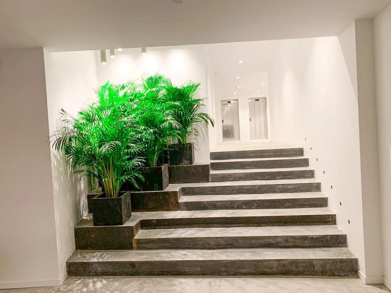 Other in Hotel Paradiso Garden