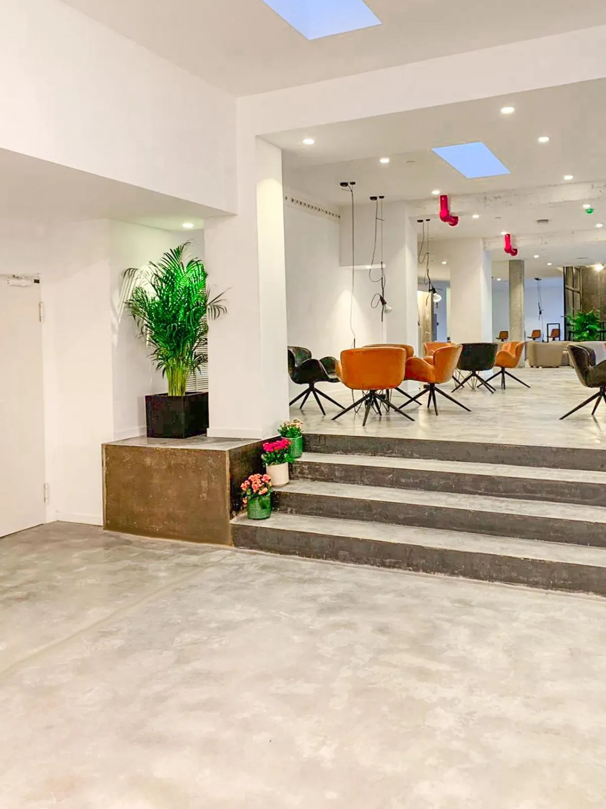 Area and facilities in Hotel Paradiso Garden