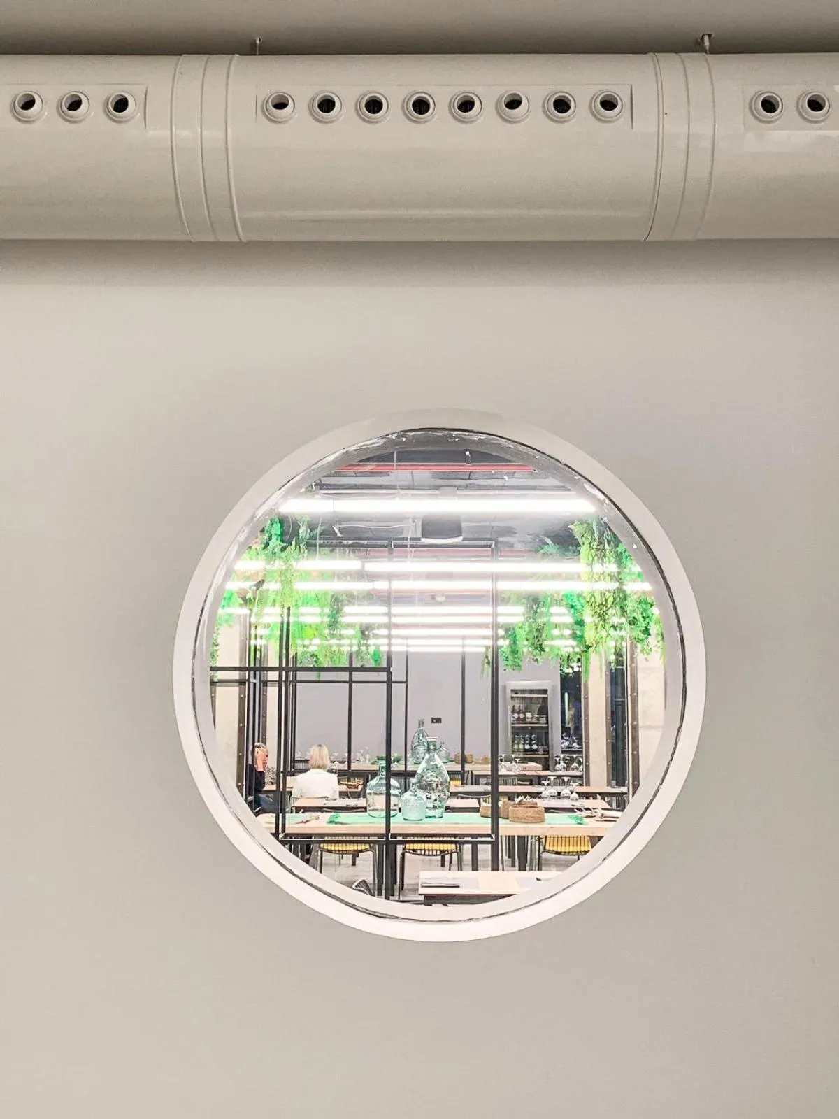 Other in Hotel Paradiso Garden