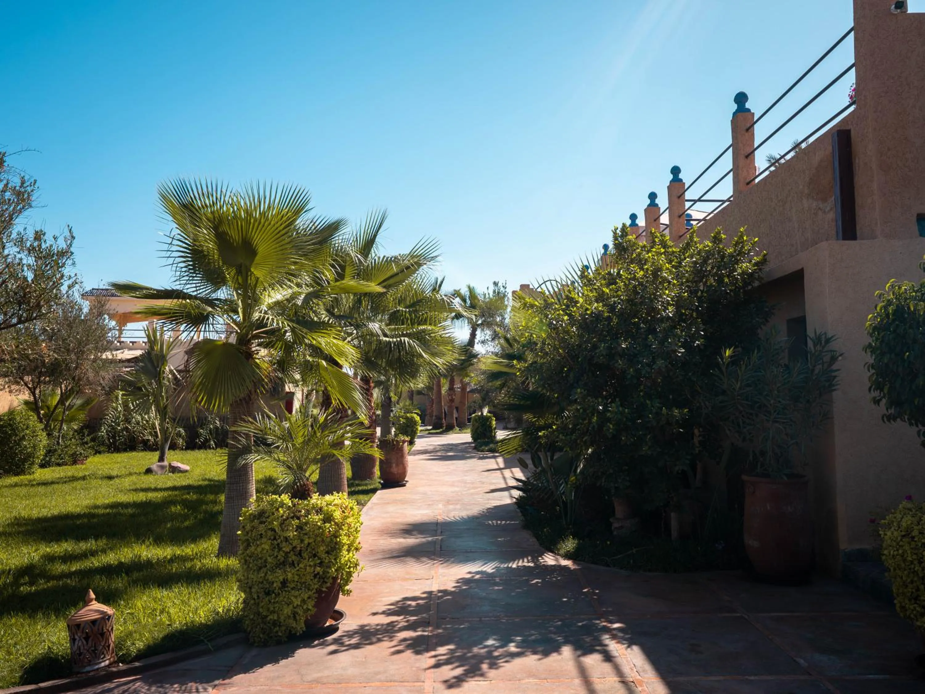Garden view in Maison Daouia