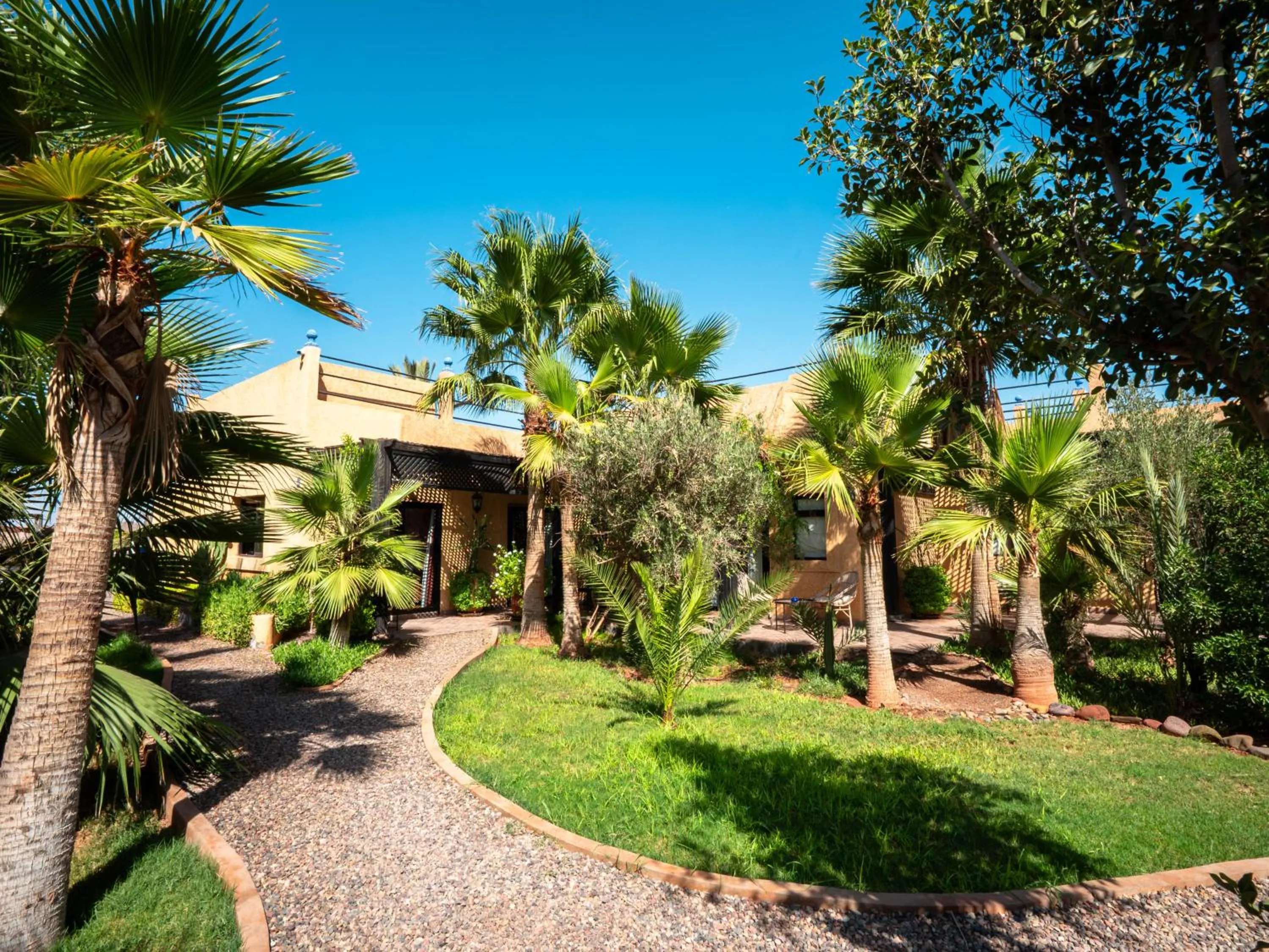Garden view in Maison Daouia