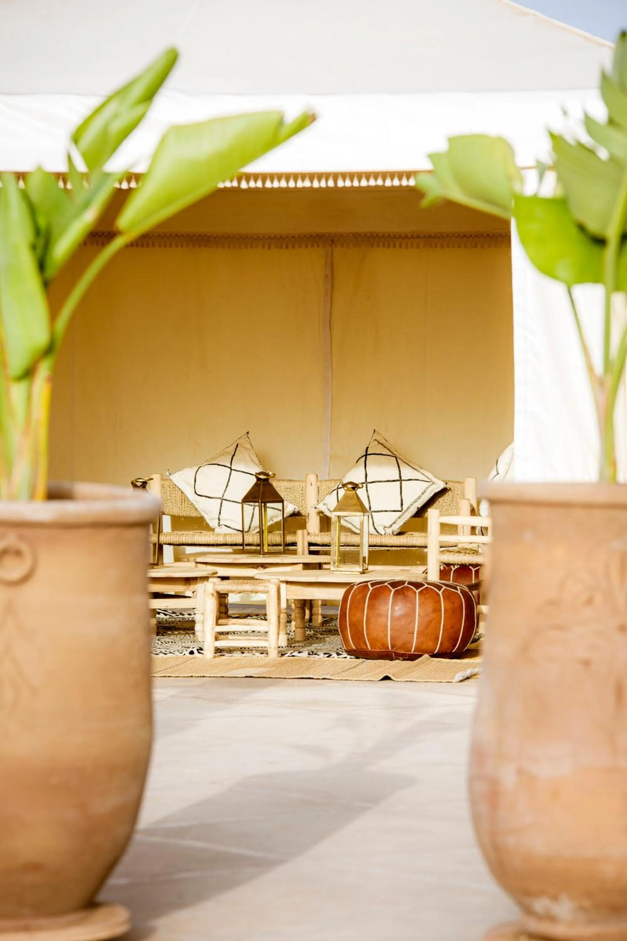 Balcony/Terrace in Maison Daouia