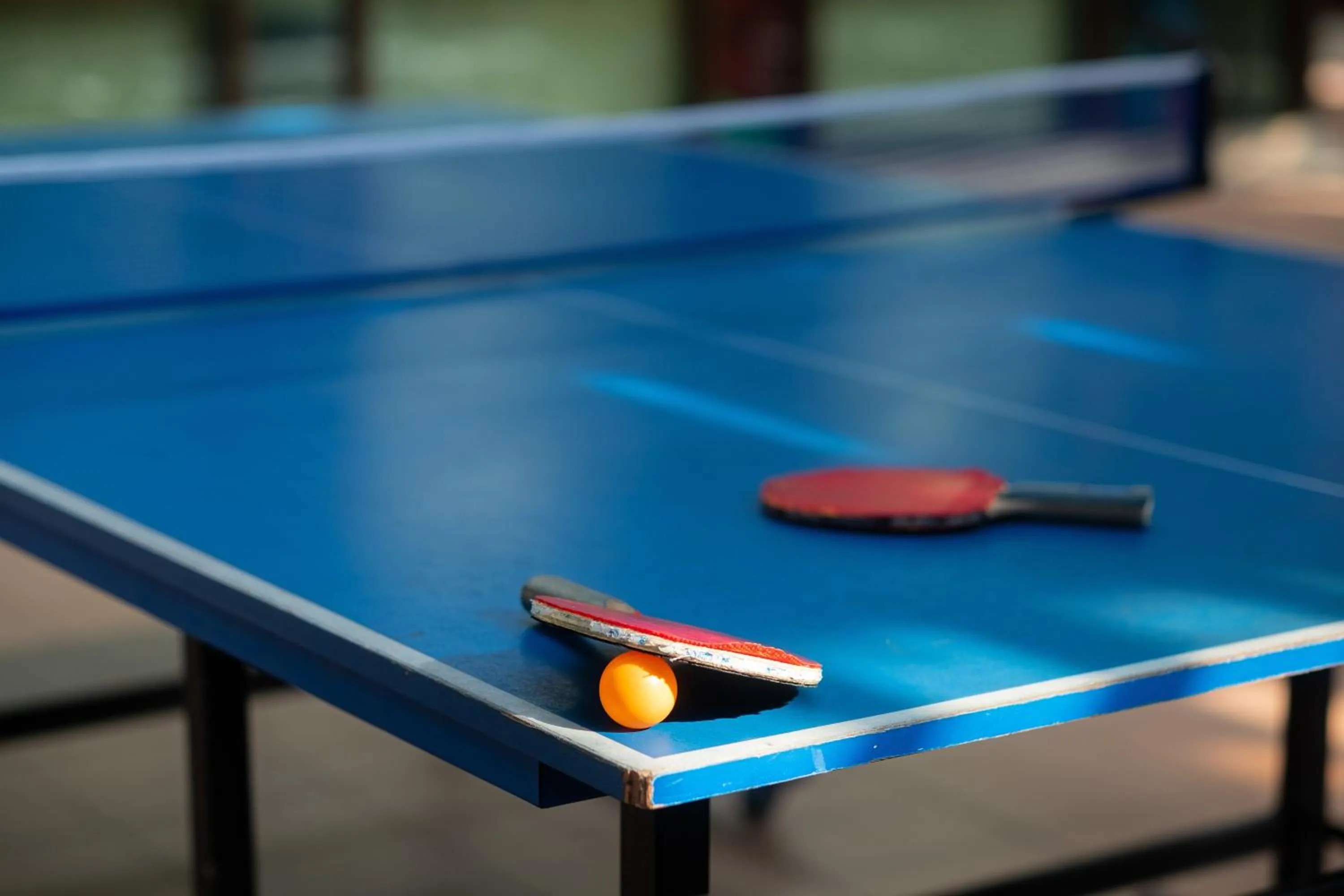 Table tennis in Hotel Crystal - KitzHorn Suites