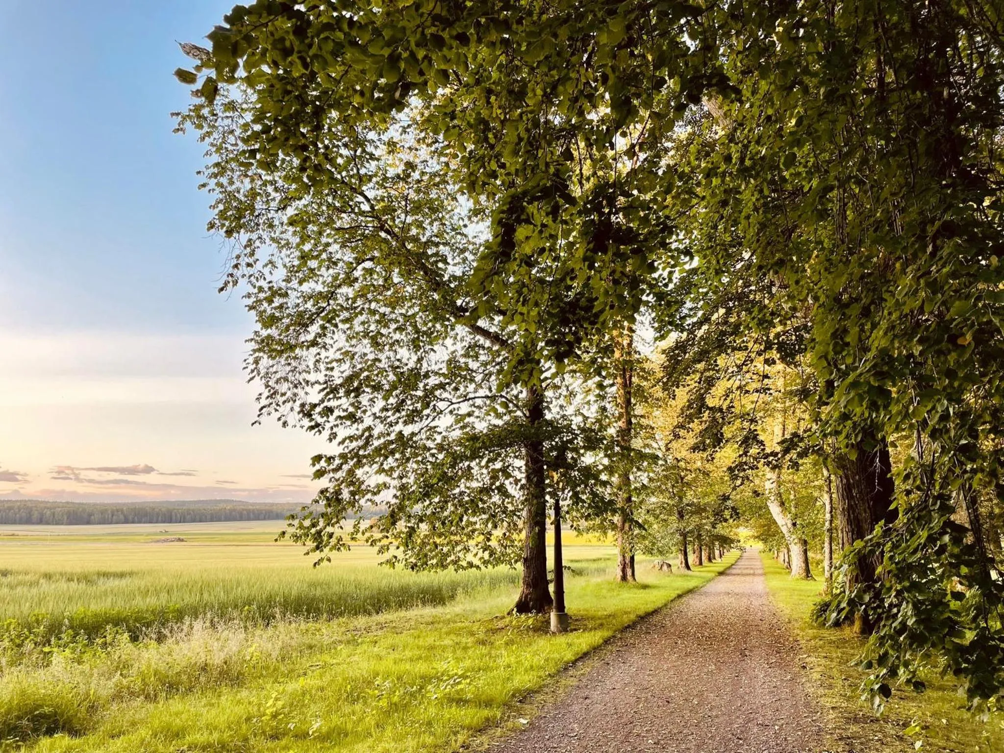 Staff in Apertins Hotell