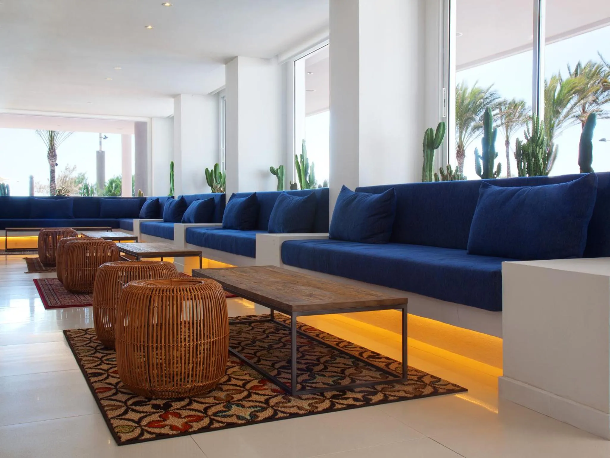 Lounge or bar in HM Tropical