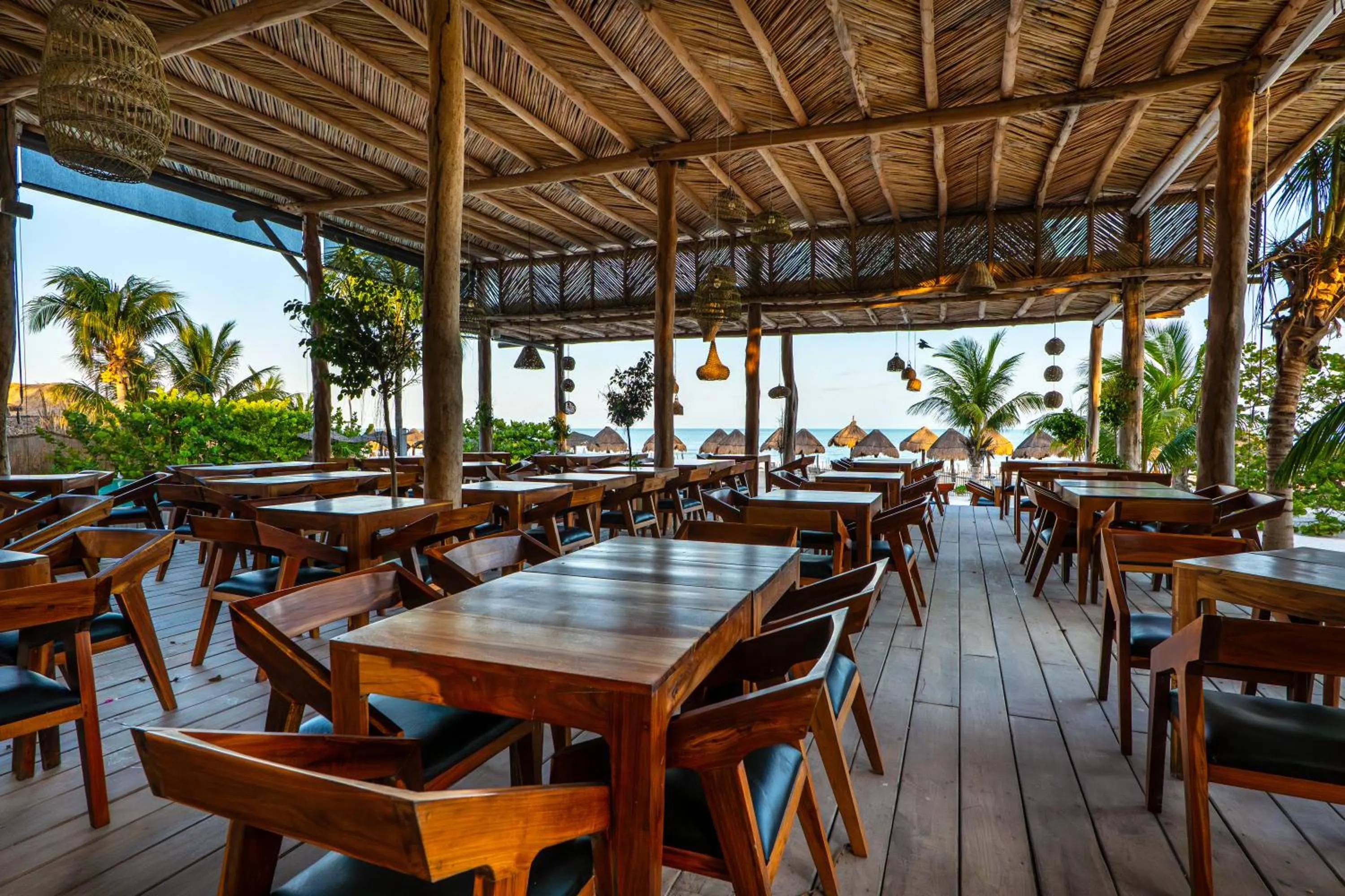 Restaurant/places to eat in My Blue Hotel Holbox