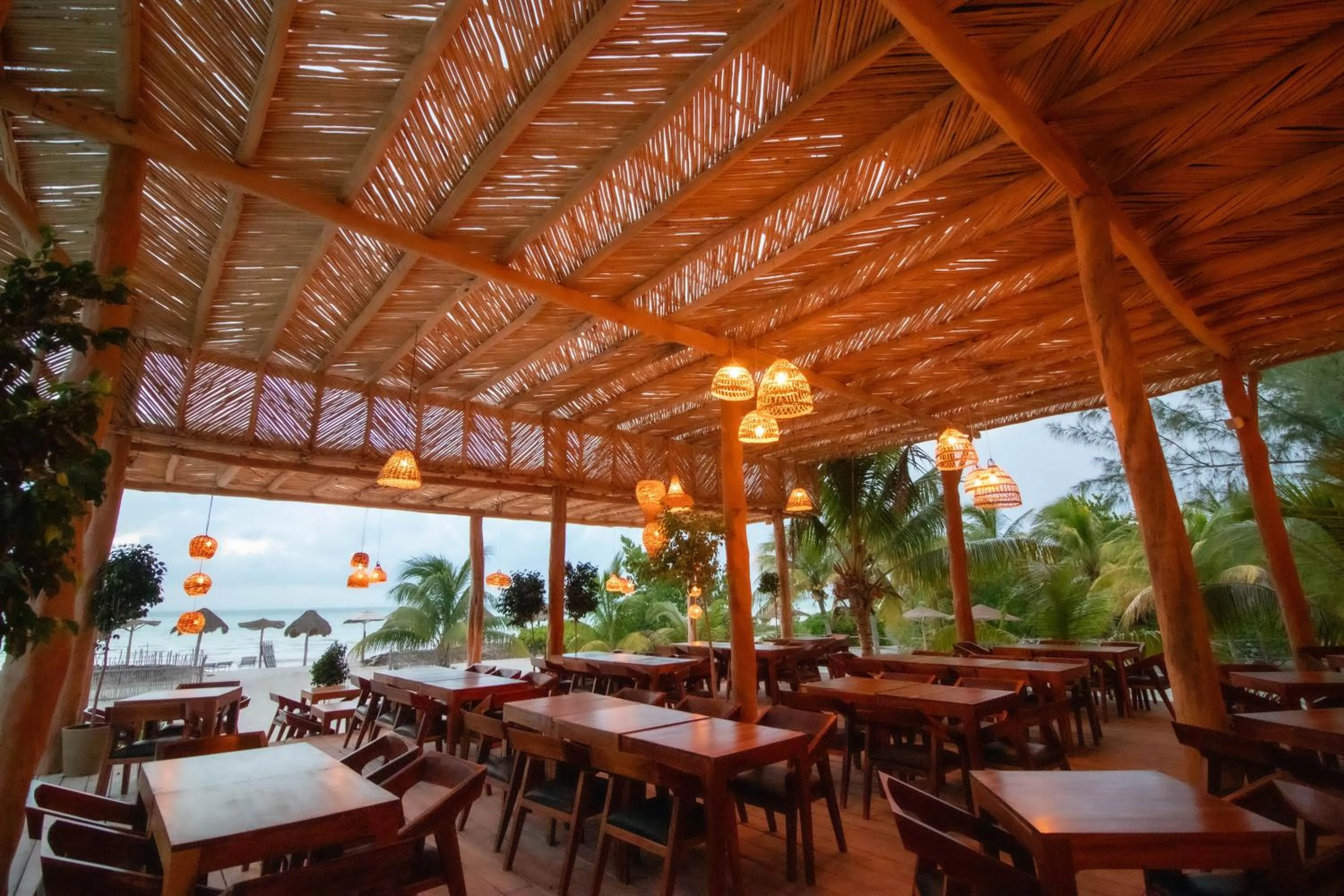 Restaurant/places to eat in My Blue Hotel Holbox