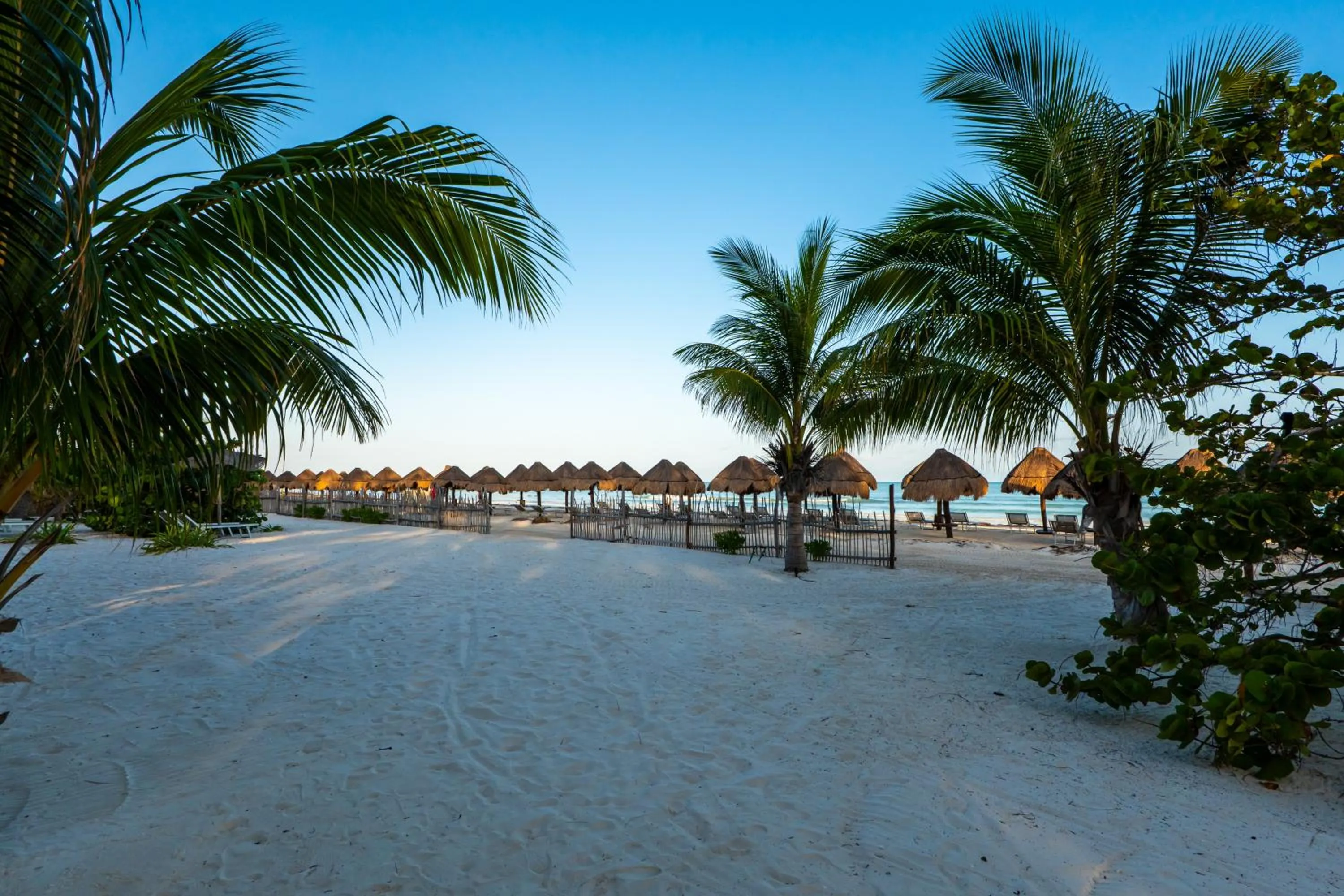 Beach in My Blue Hotel Holbox