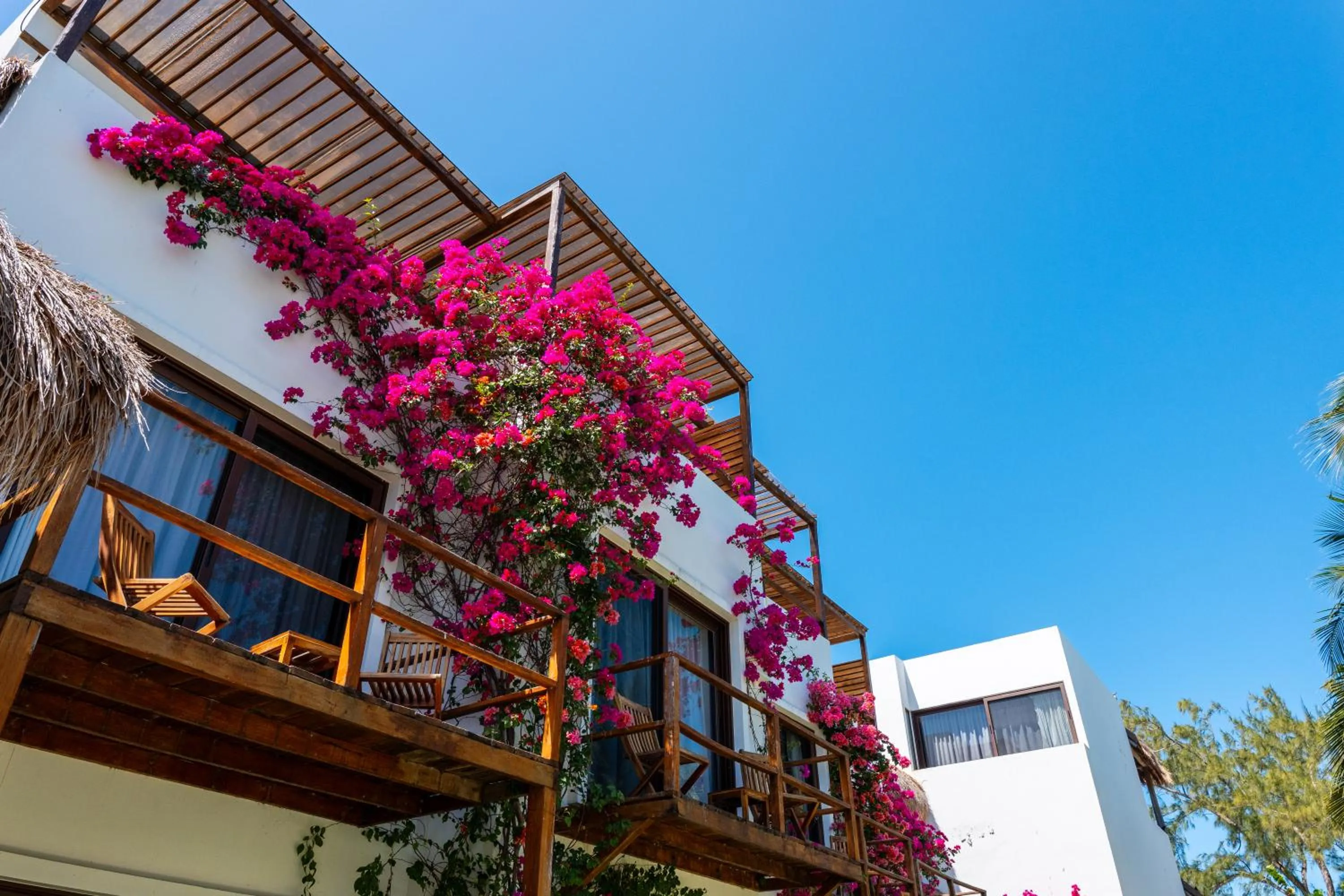 Garden in My Blue Hotel Holbox