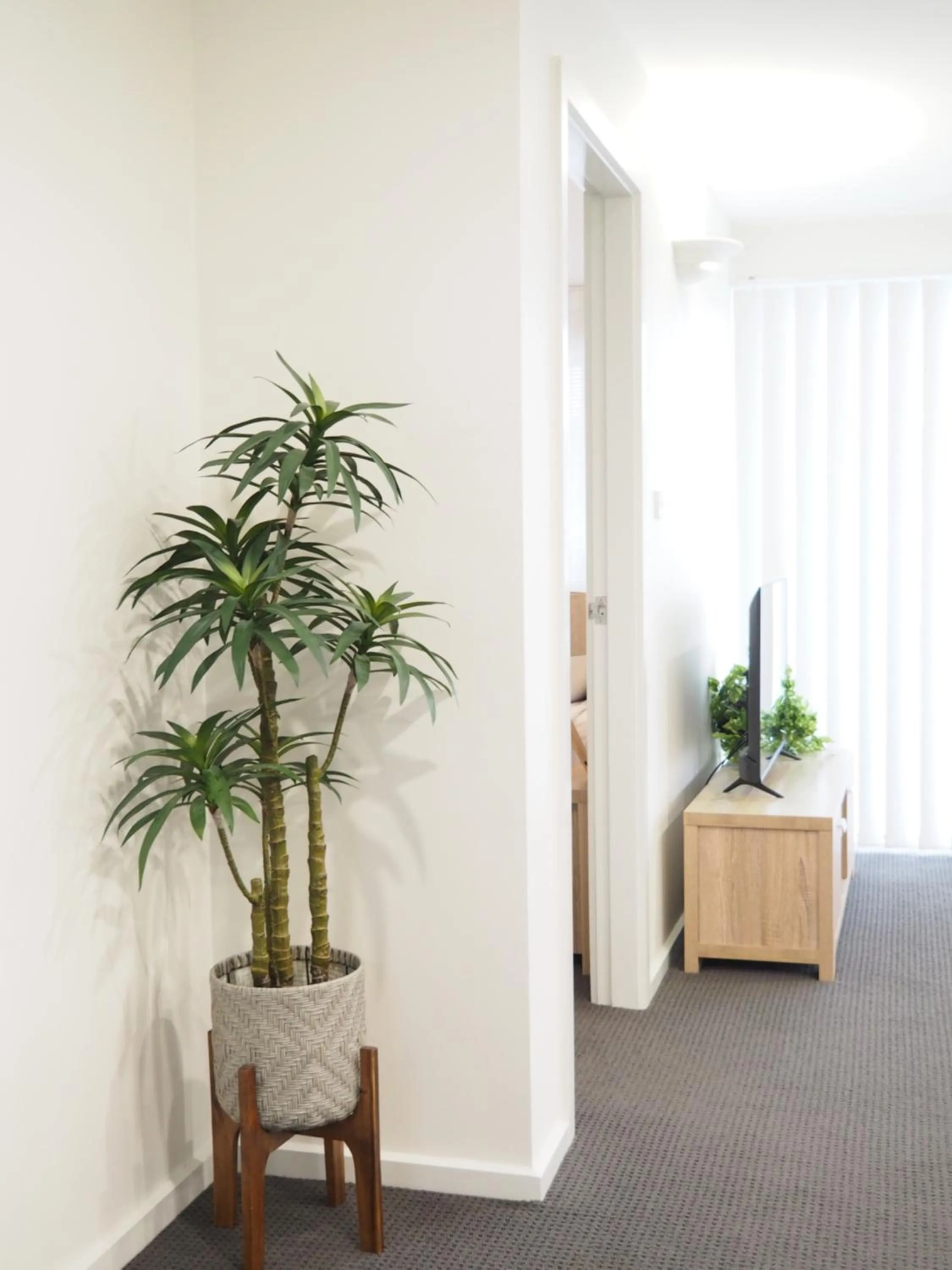 Living room in Warners Bay Apartments