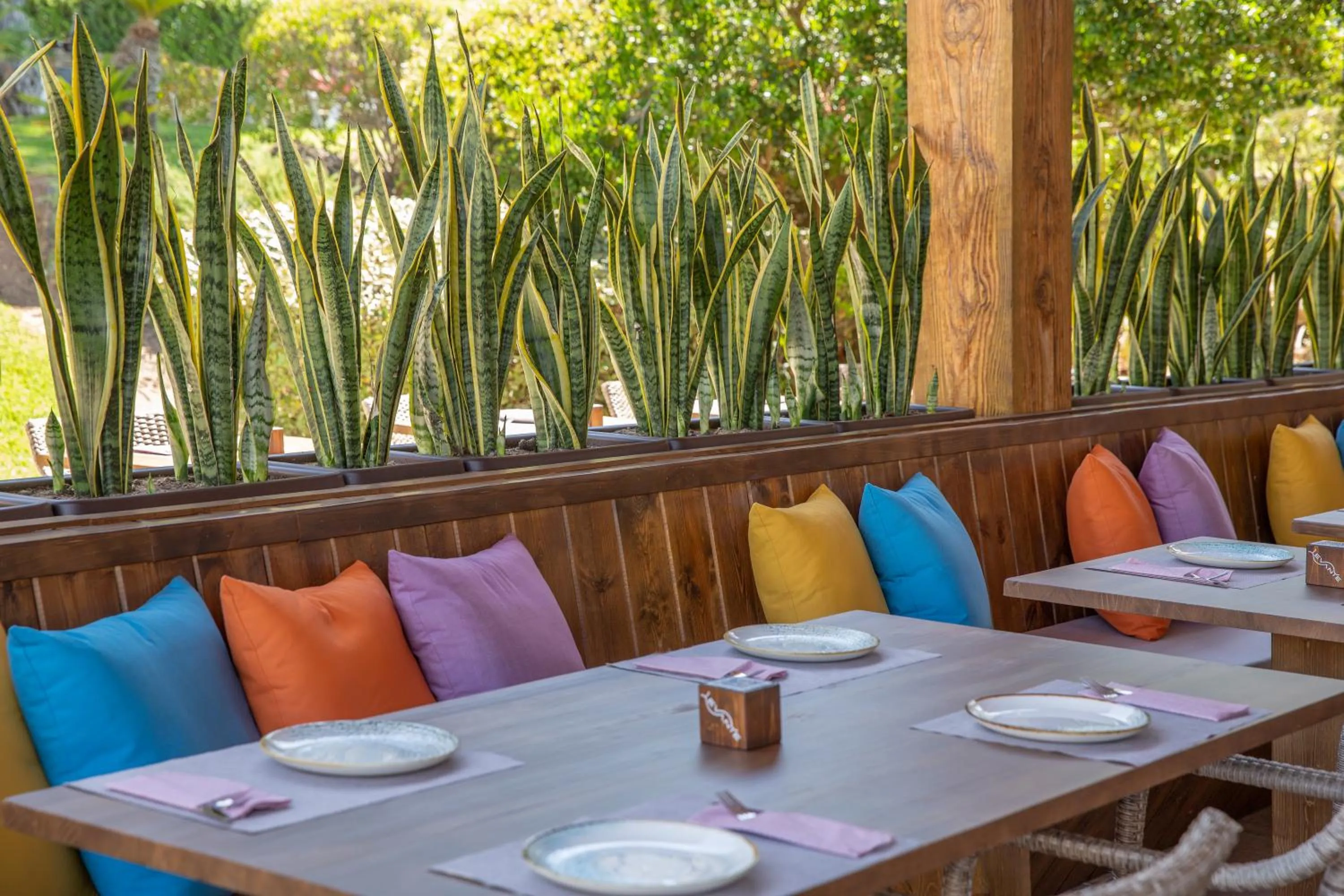 Restaurant/places to eat in Valentin Sancti Petri