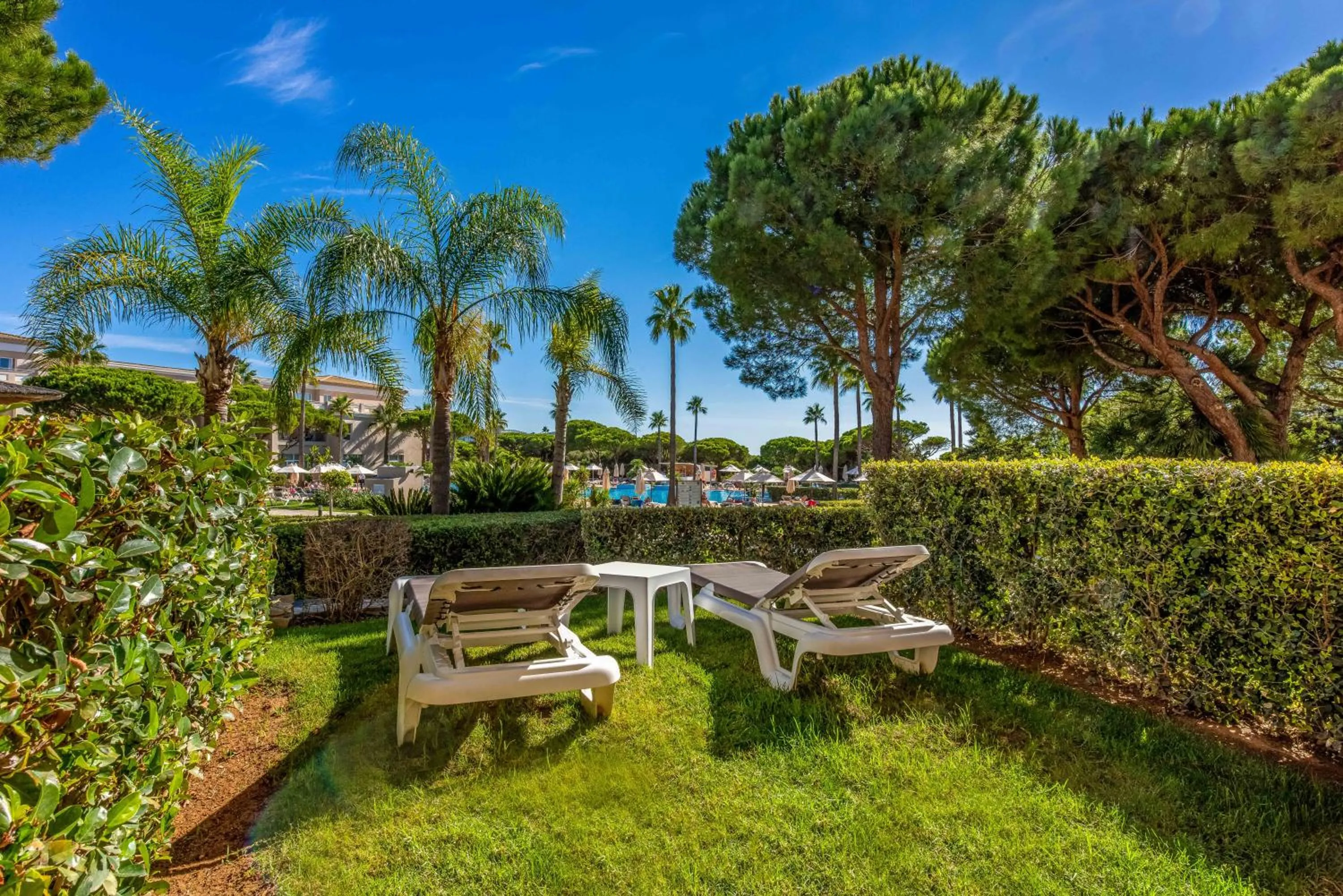 Garden in Valentin Sancti Petri