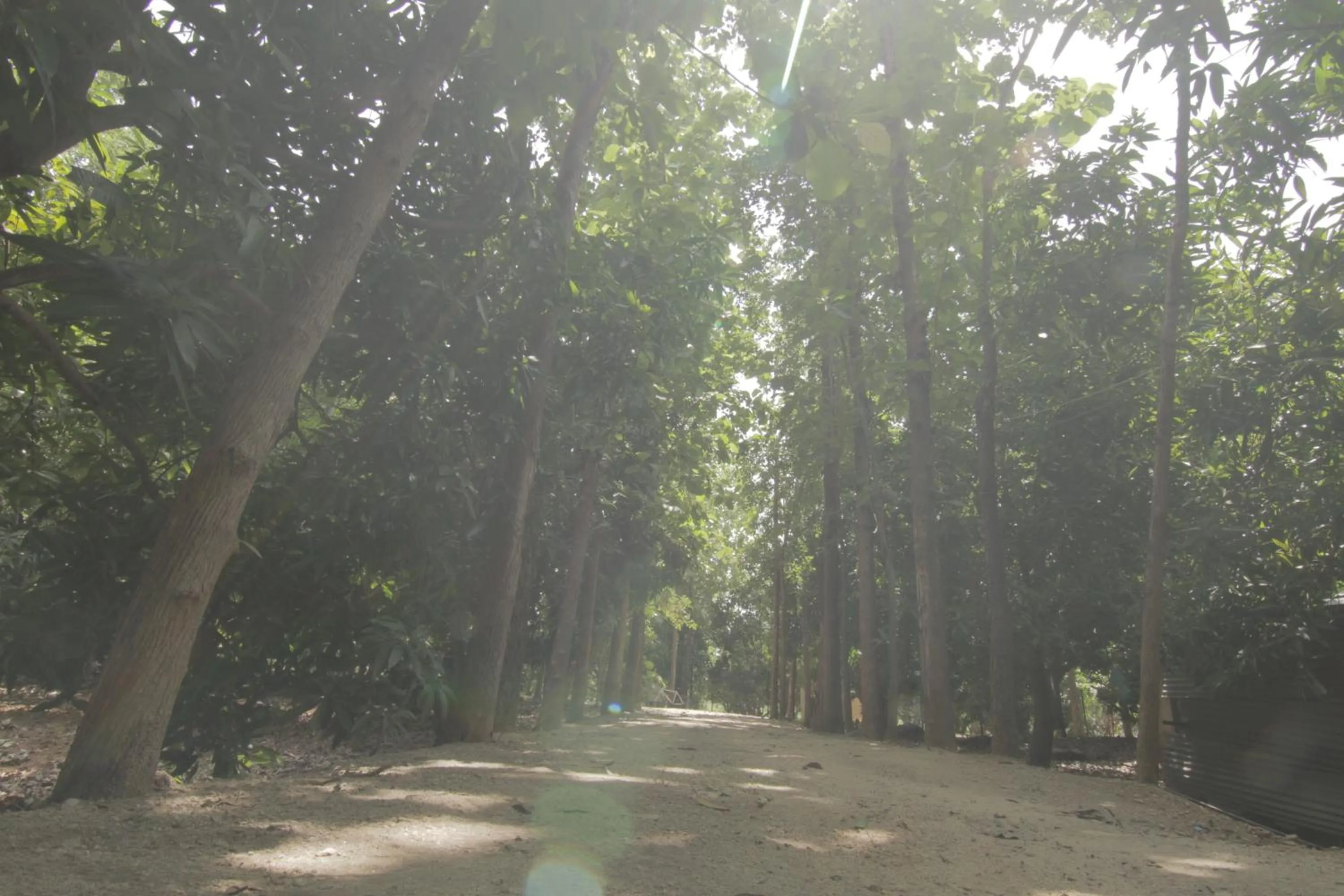 Spring in Reva Resorts and Holiday Homes