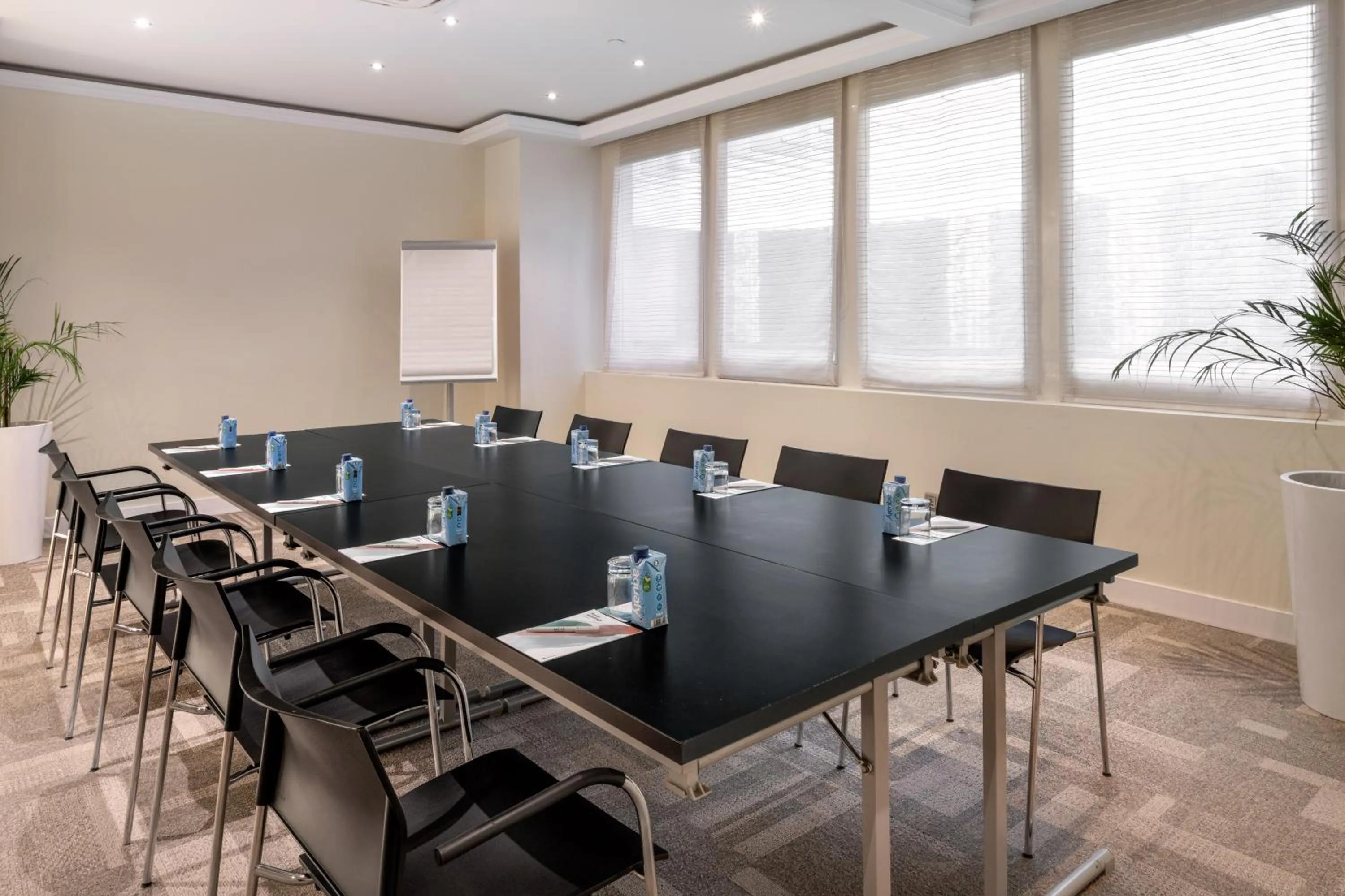 Meeting/conference room in Melia Castilla