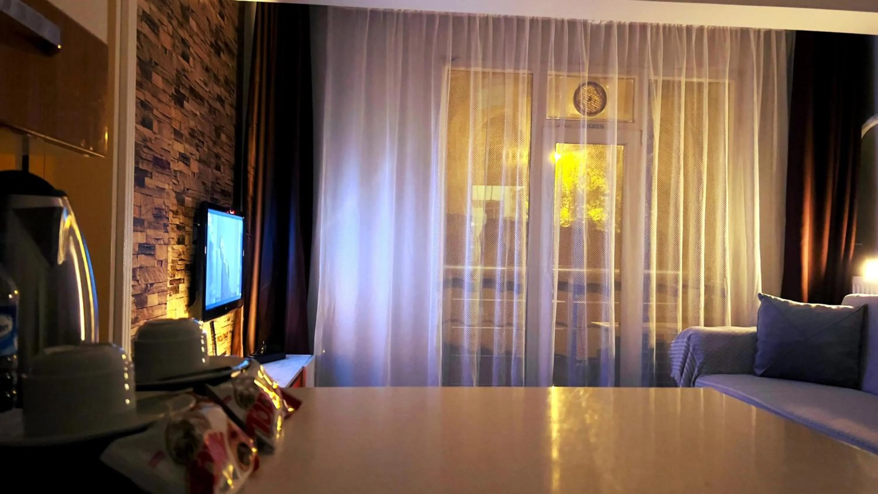 Living room in Edirne House