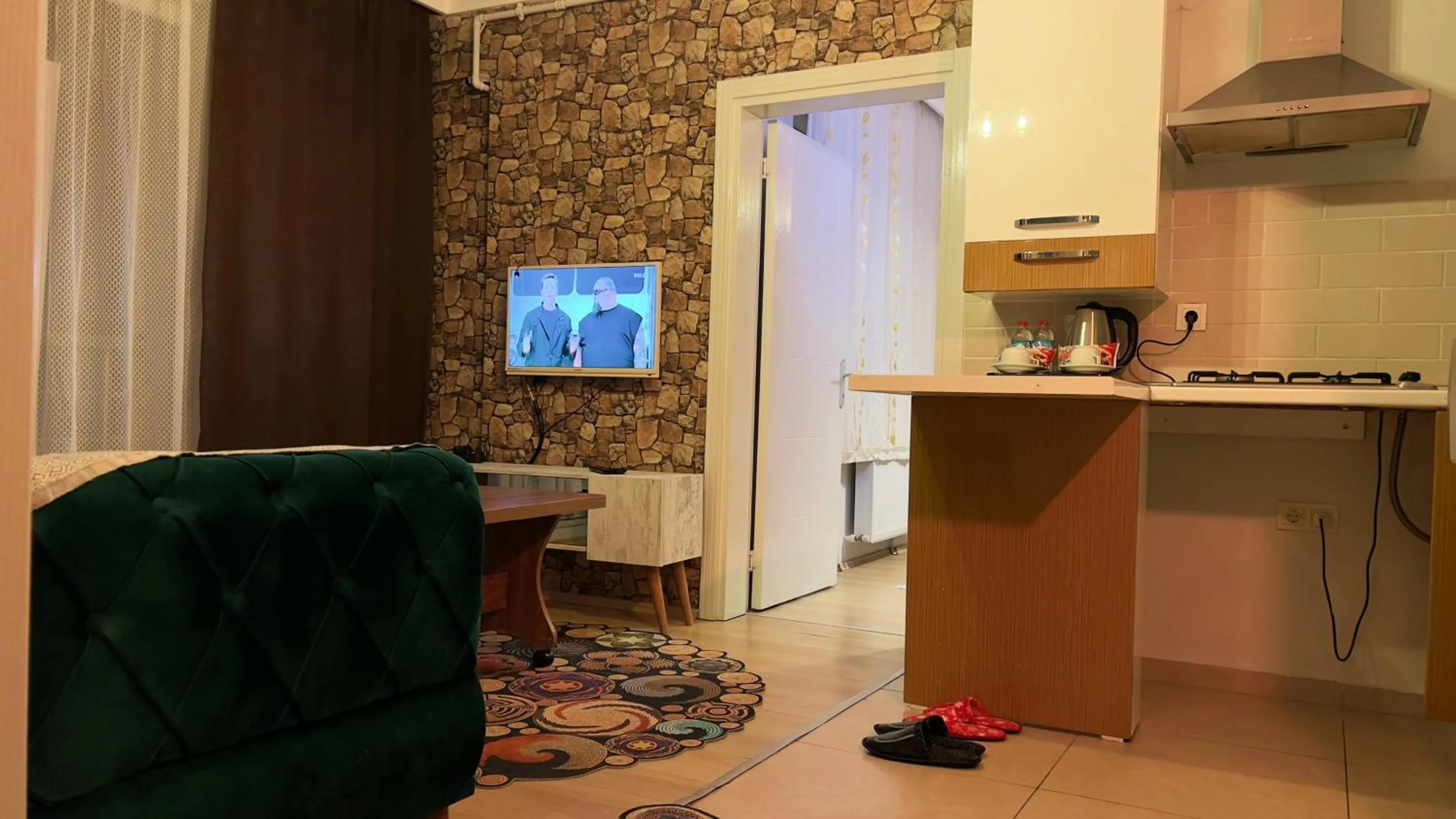 Living room in Edirne House