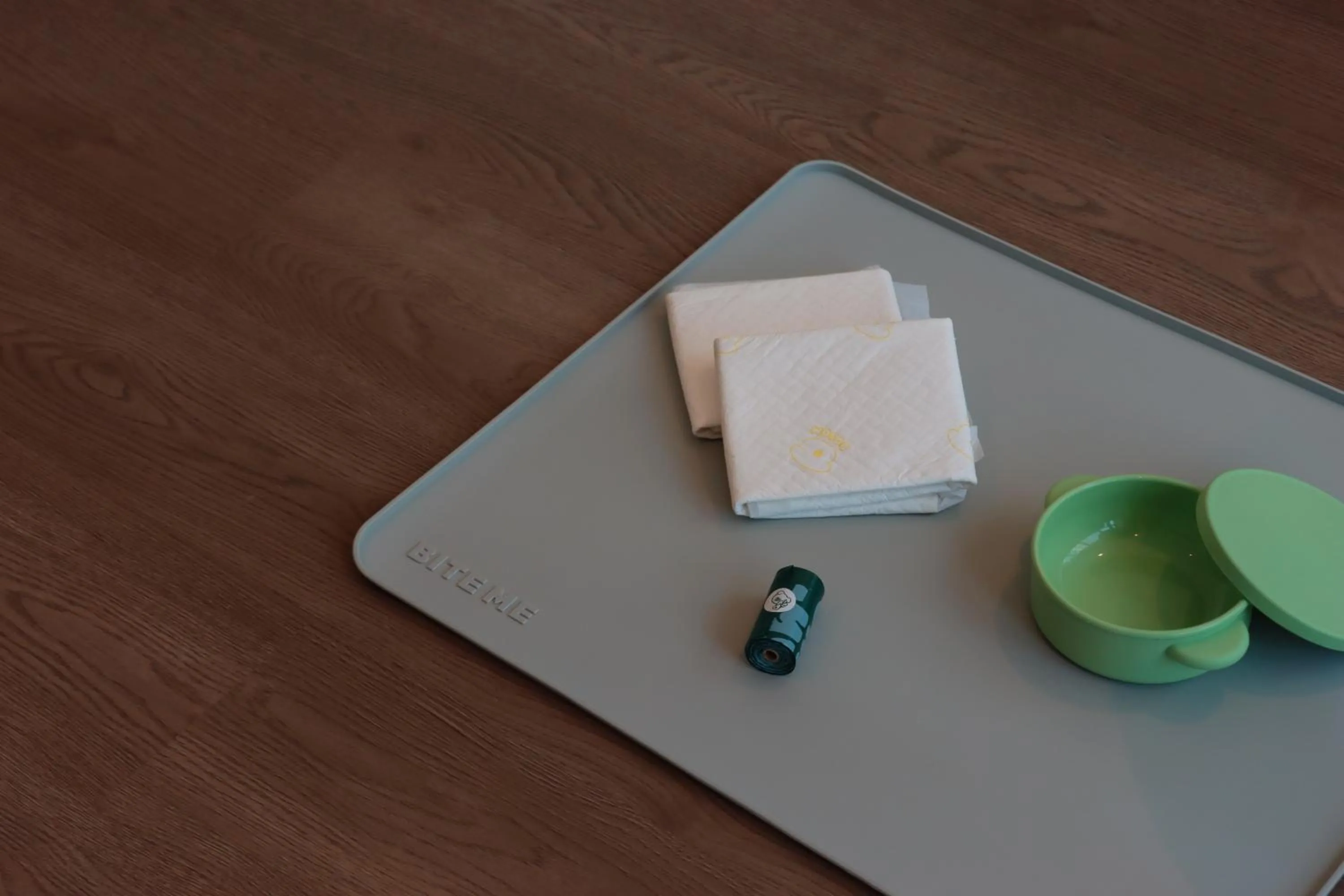 pet friendly in ibis Styles Ambassador Incheon Airport T2