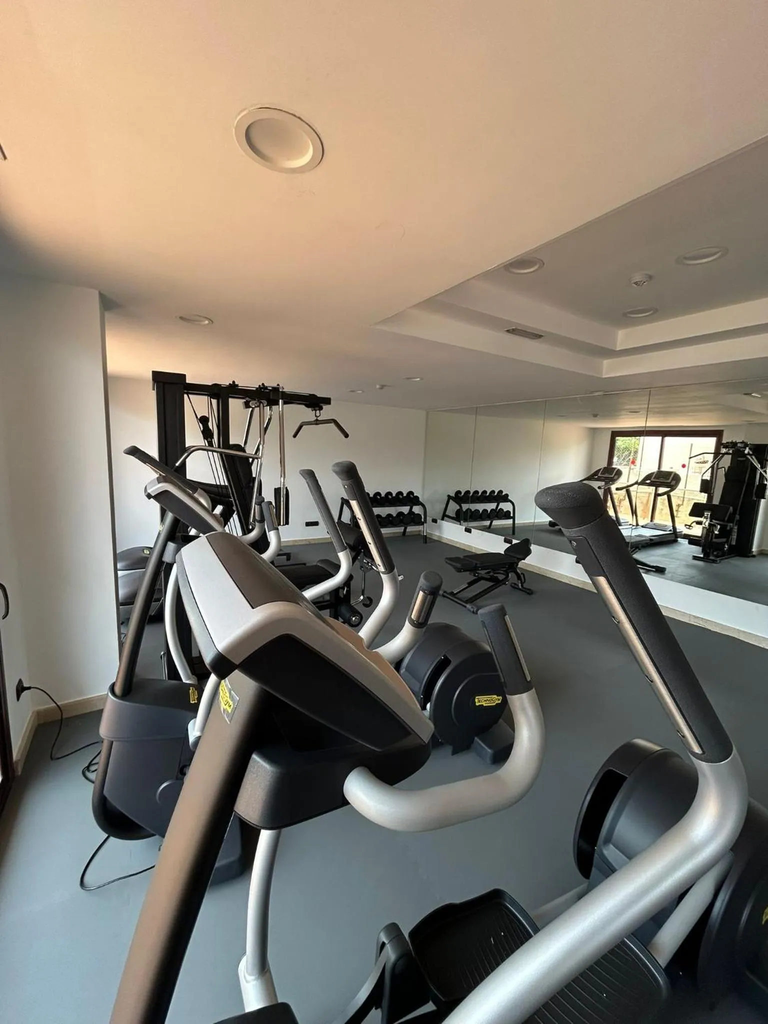 Fitness centre/facilities in Gran Hotel Costa del Sol