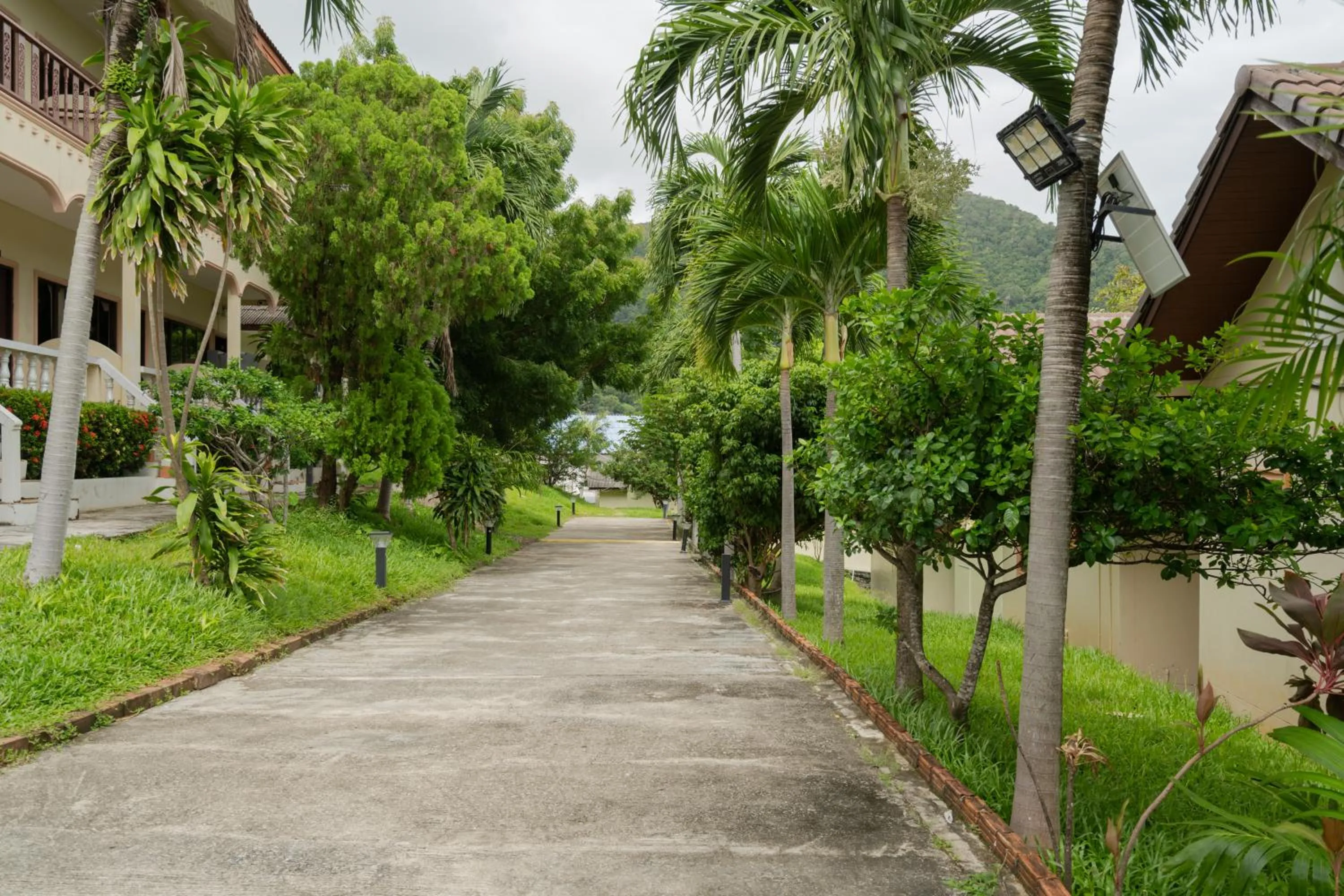 Garden in Kataonsea bungalows